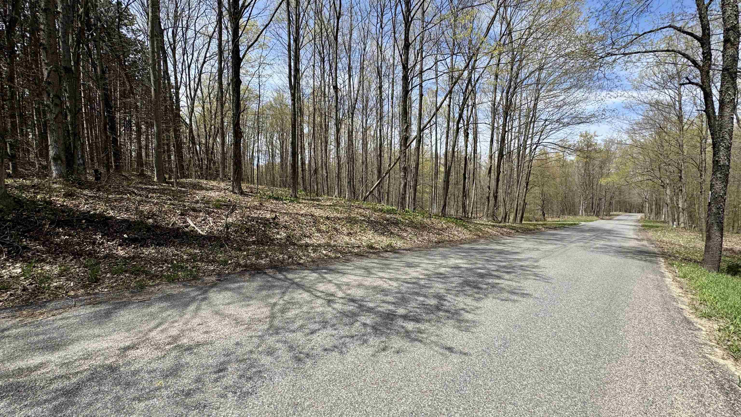 1st image of Parcel F Dayhuf 27 Mile Rd, Boon, MI 49618 | MLS# 80067795