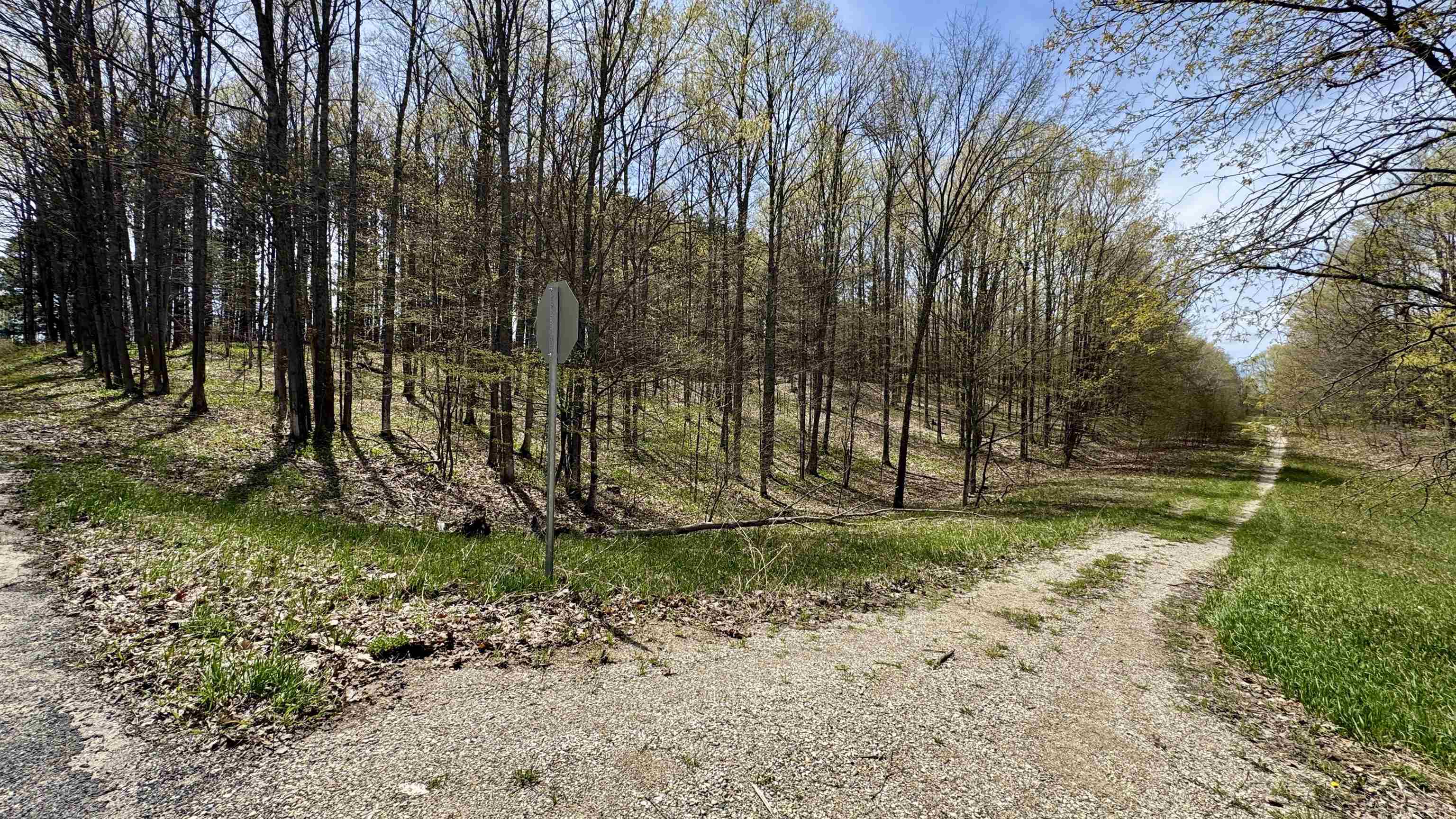 17th image of Parcel F Dayhuf 27 Mile Rd, Boon, MI 49618 | MLS# 80067795