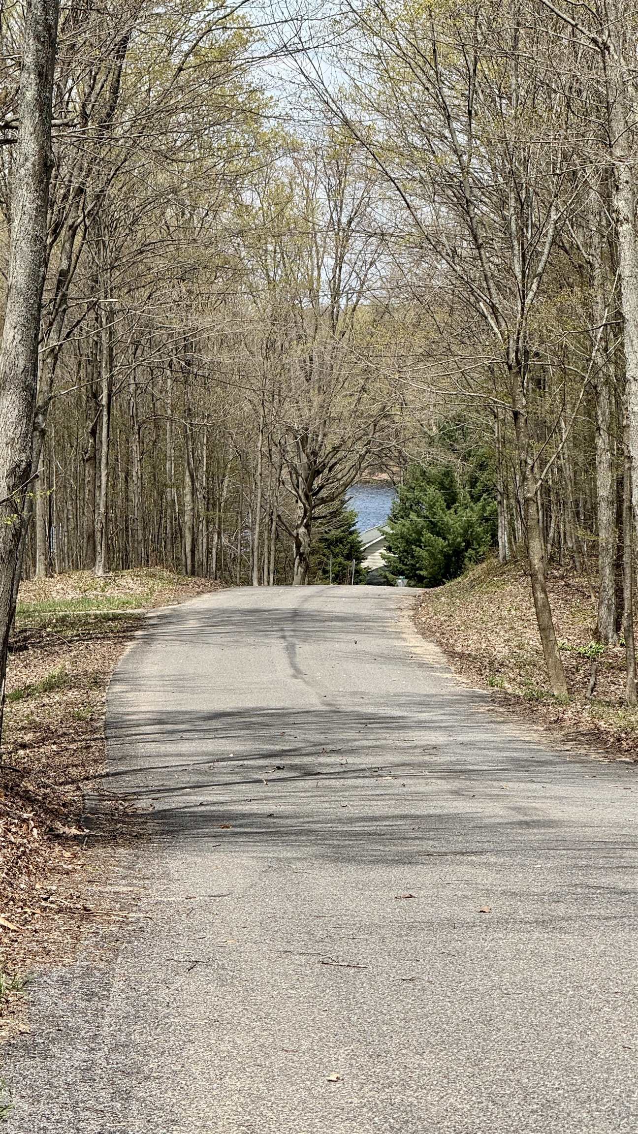 2nd image of Parcel D Dayhuf Cherry Ln, Boon, MI 49618 | MLS# 80067798