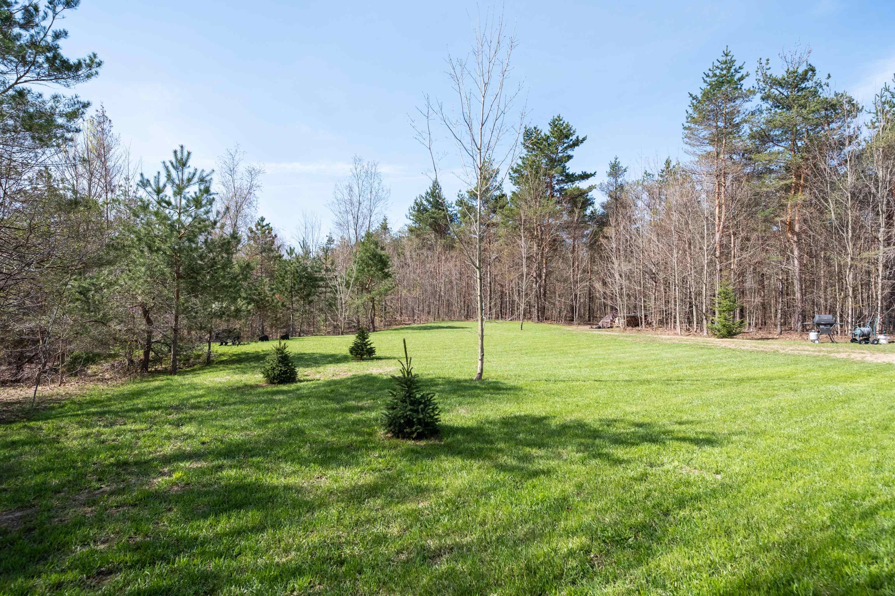 1217 Tremblay Road, Mancelona, MI, 49659
