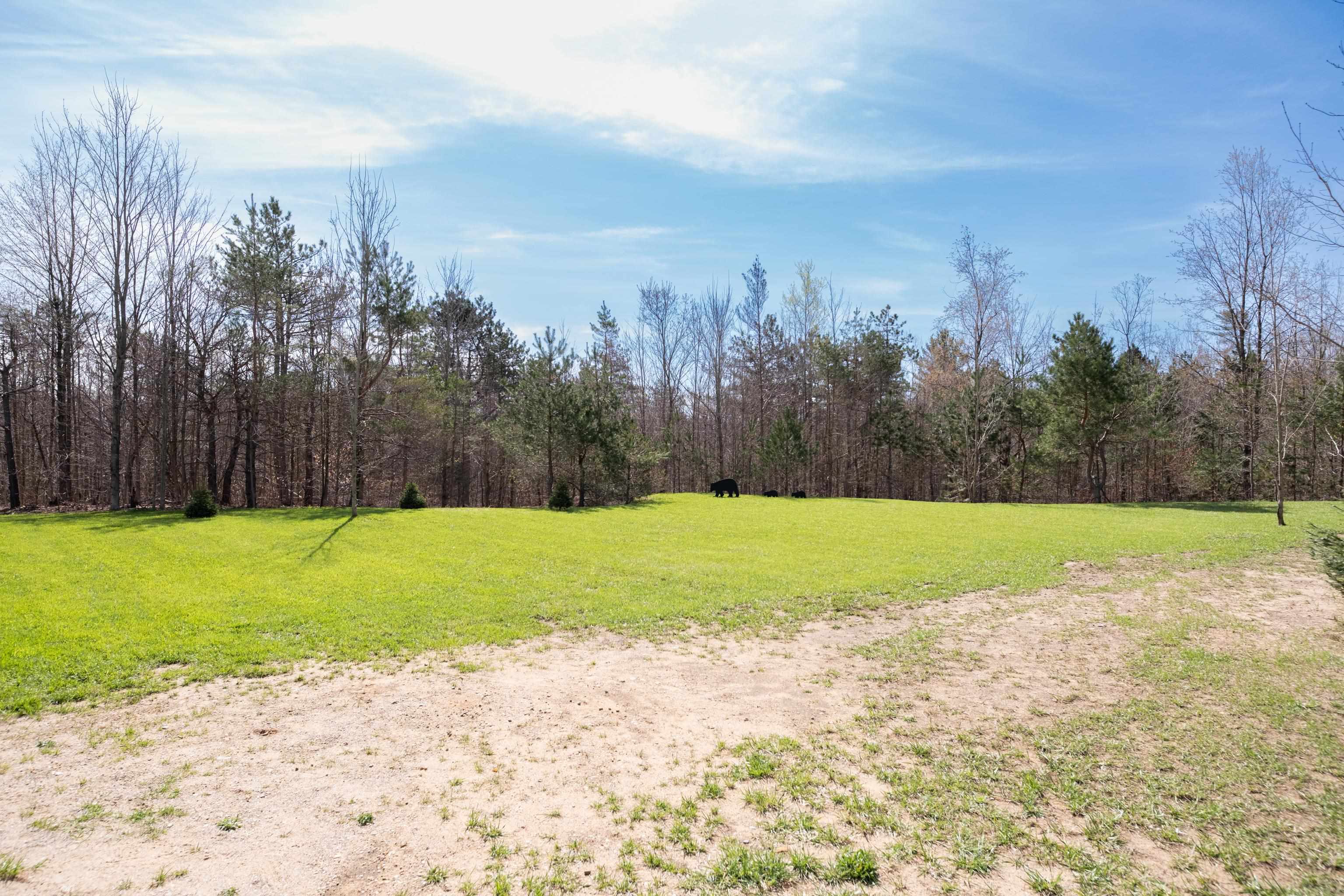 1217 Tremblay Road, Mancelona, MI, 49659