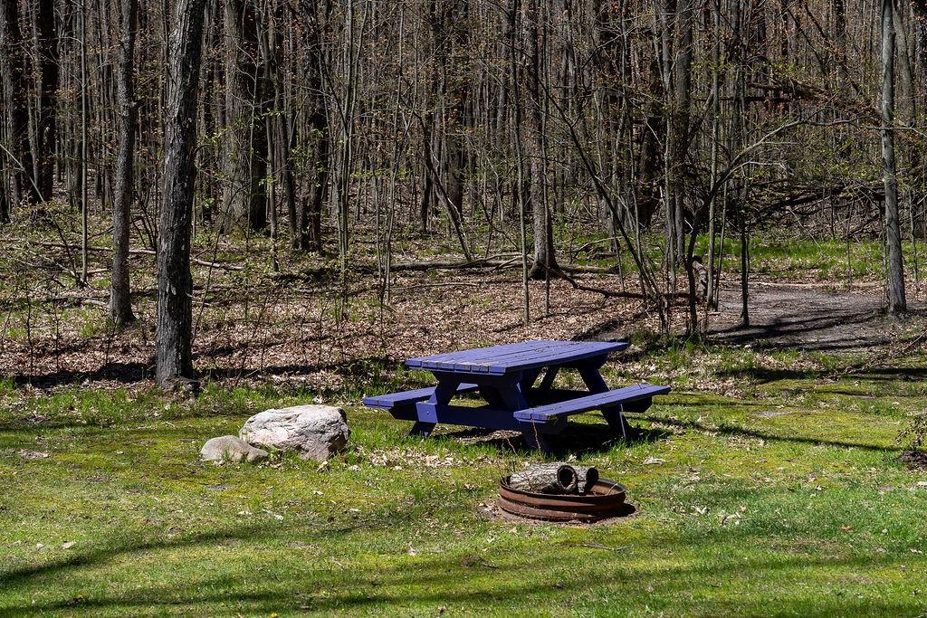 2795 Spruce Hill Drive, Farwell, MI, 48622