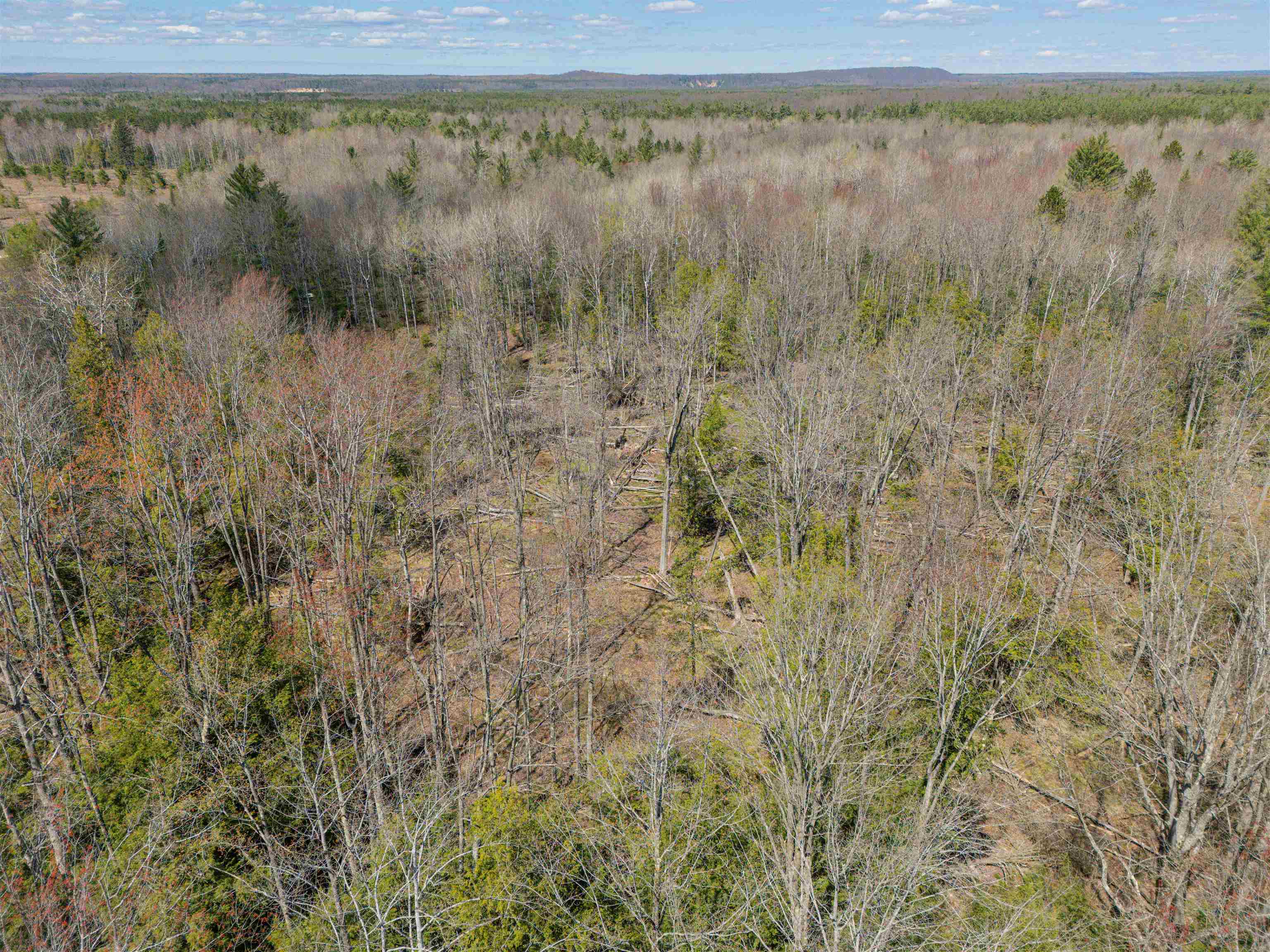 VL Kolarvic Road, Manton, MI, 49663
