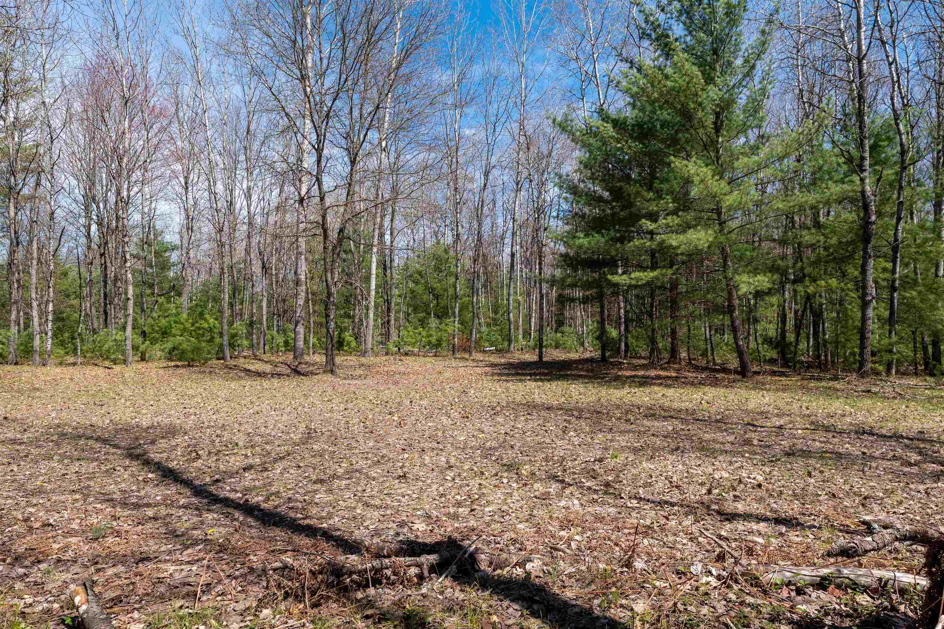 VL Kolarvic Road, Manton, MI, 49663