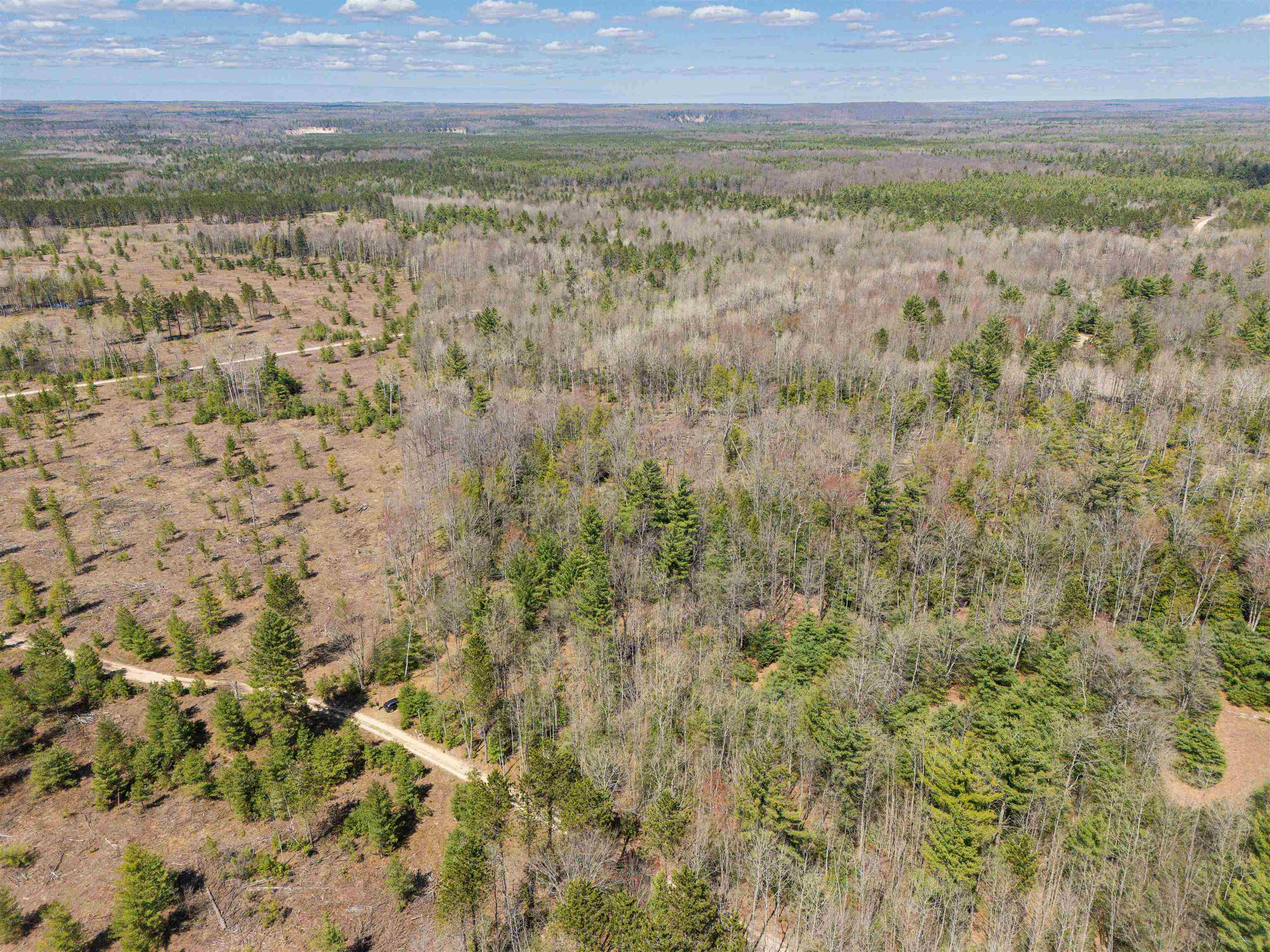 VL Kolarvic Road, Manton, MI, 49663