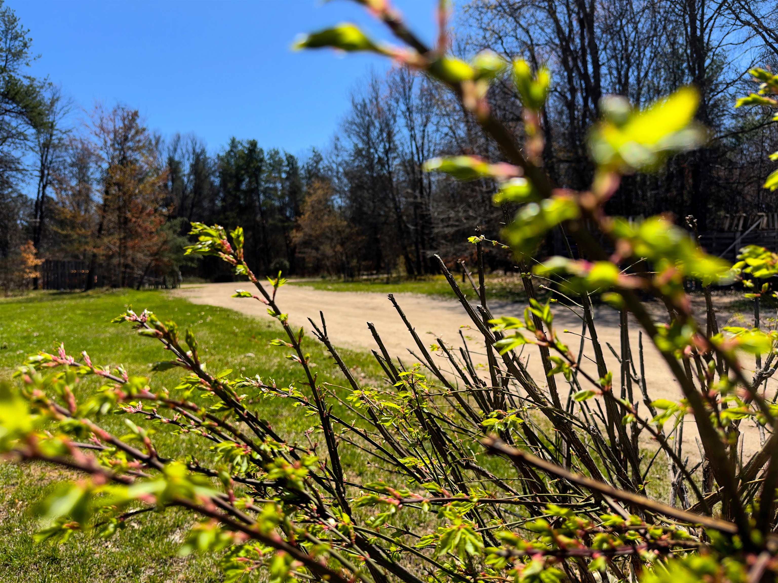 984 W Rose Meadow Drive UNIT&nbsp;Lot: 1-10, Luther, MI, 49656