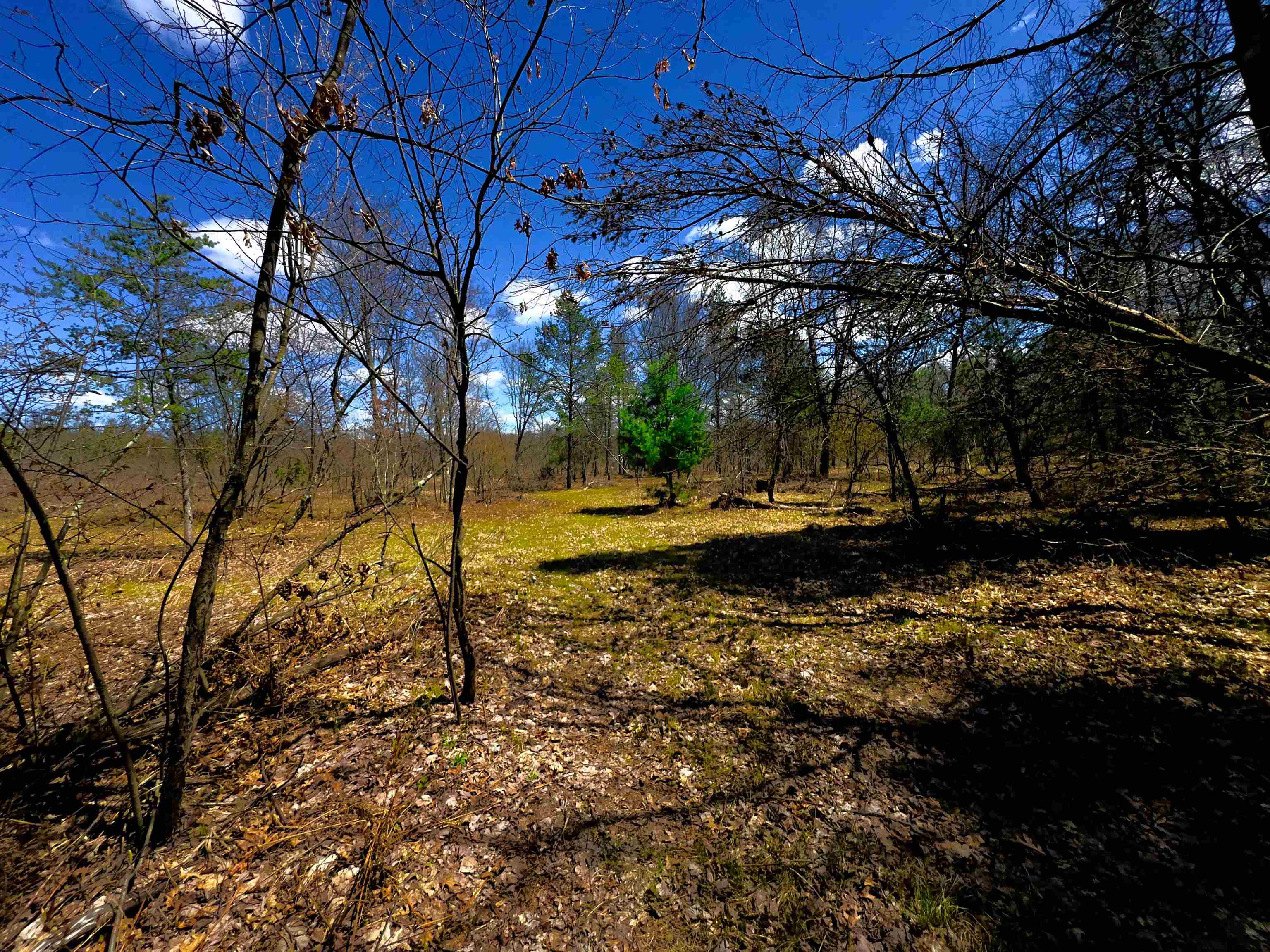 984 W Rose Meadow Drive UNIT&nbsp;Lot: 1-10, Luther, MI, 49656
