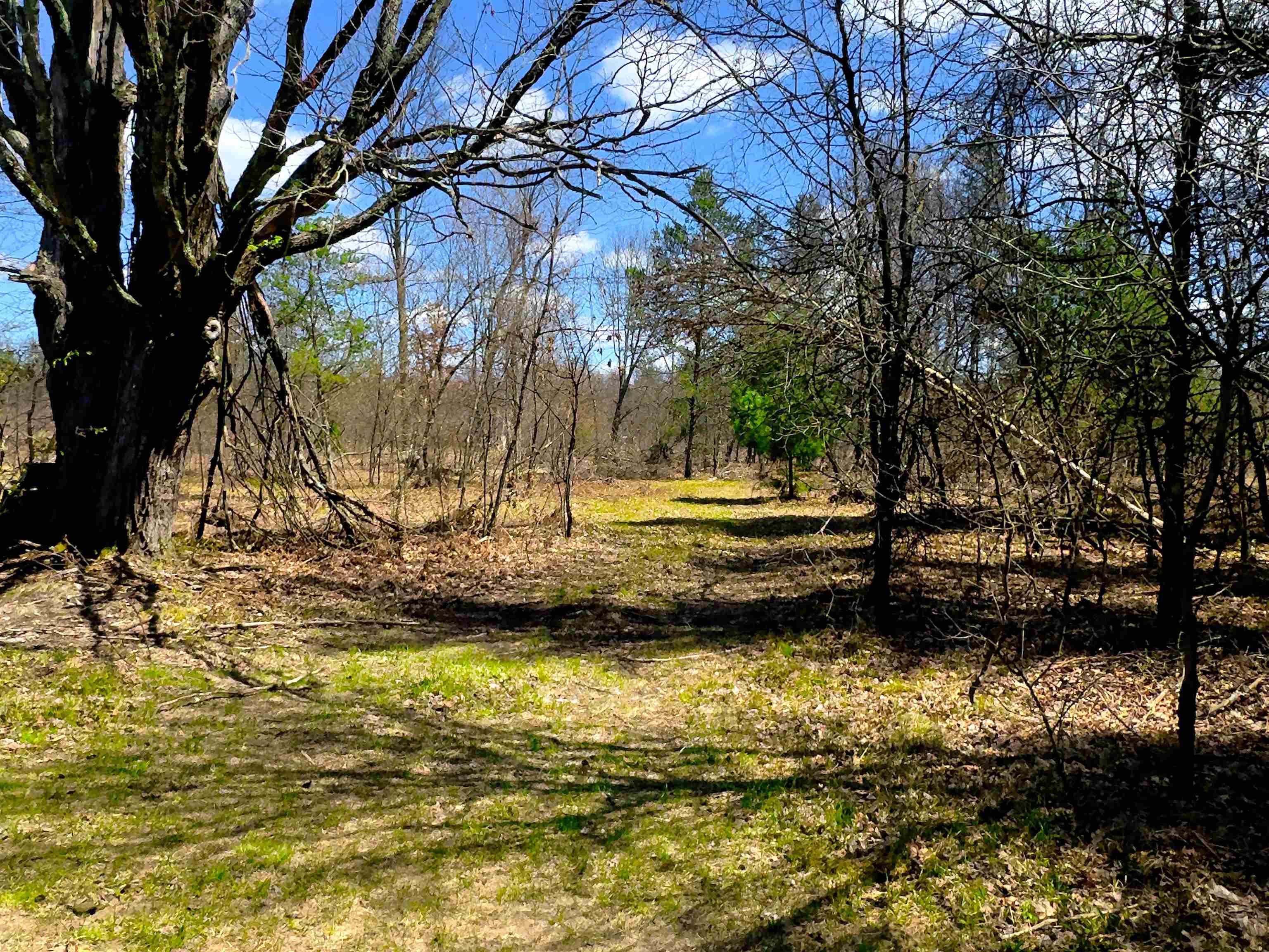 984 W Rose Meadow Drive UNIT&nbsp;Lot: 1-10, Luther, MI, 49656