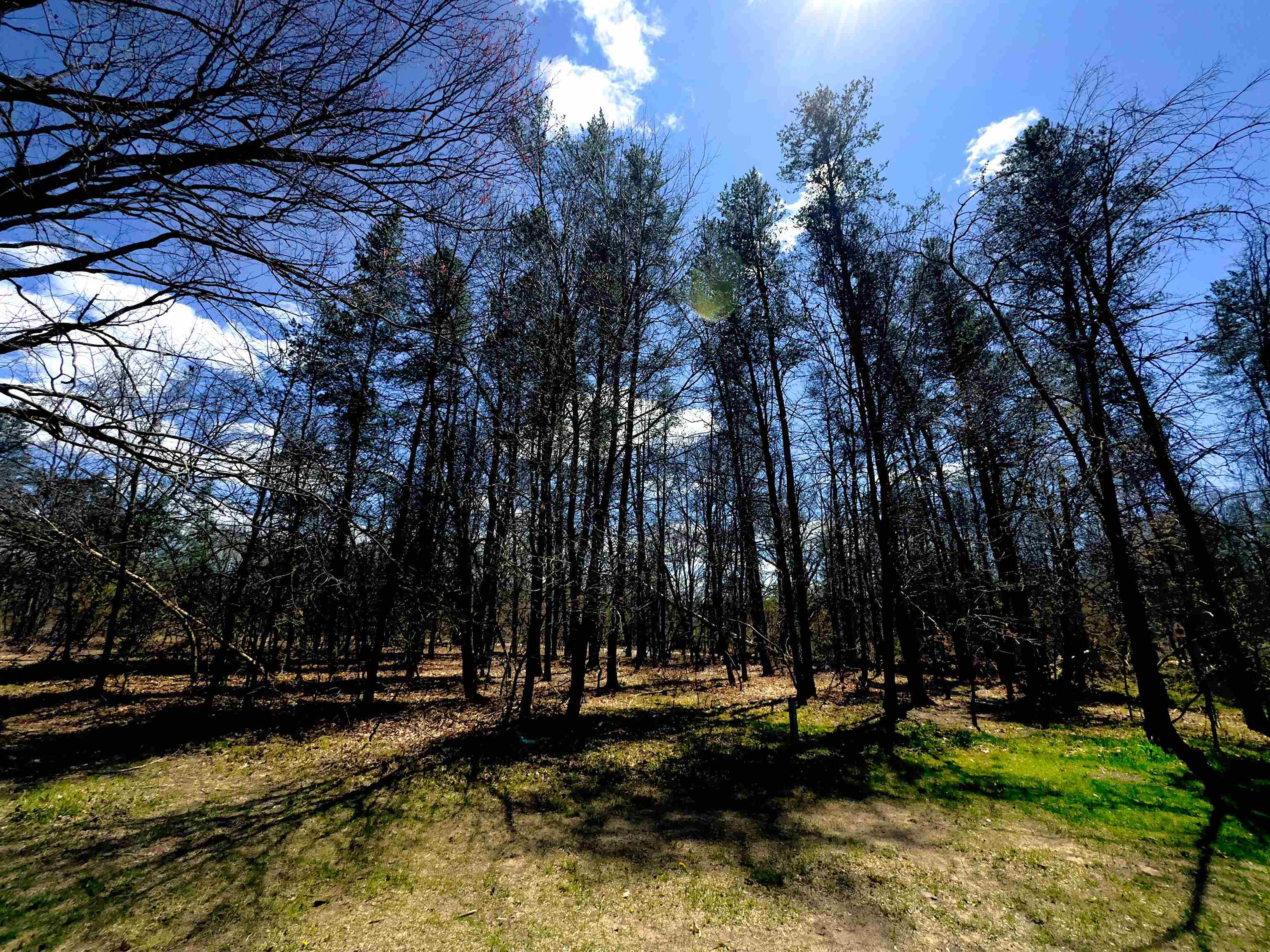 984 W Rose Meadow Drive UNIT&nbsp;Lot: 1-10, Luther, MI, 49656