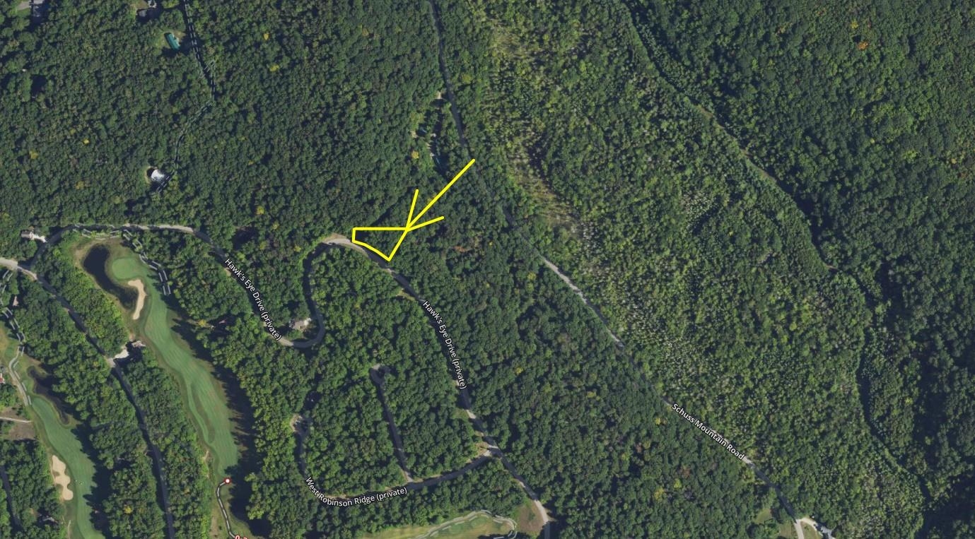 Lot 218 Hawks Eye Drive, Bellaire, MI, 49615
