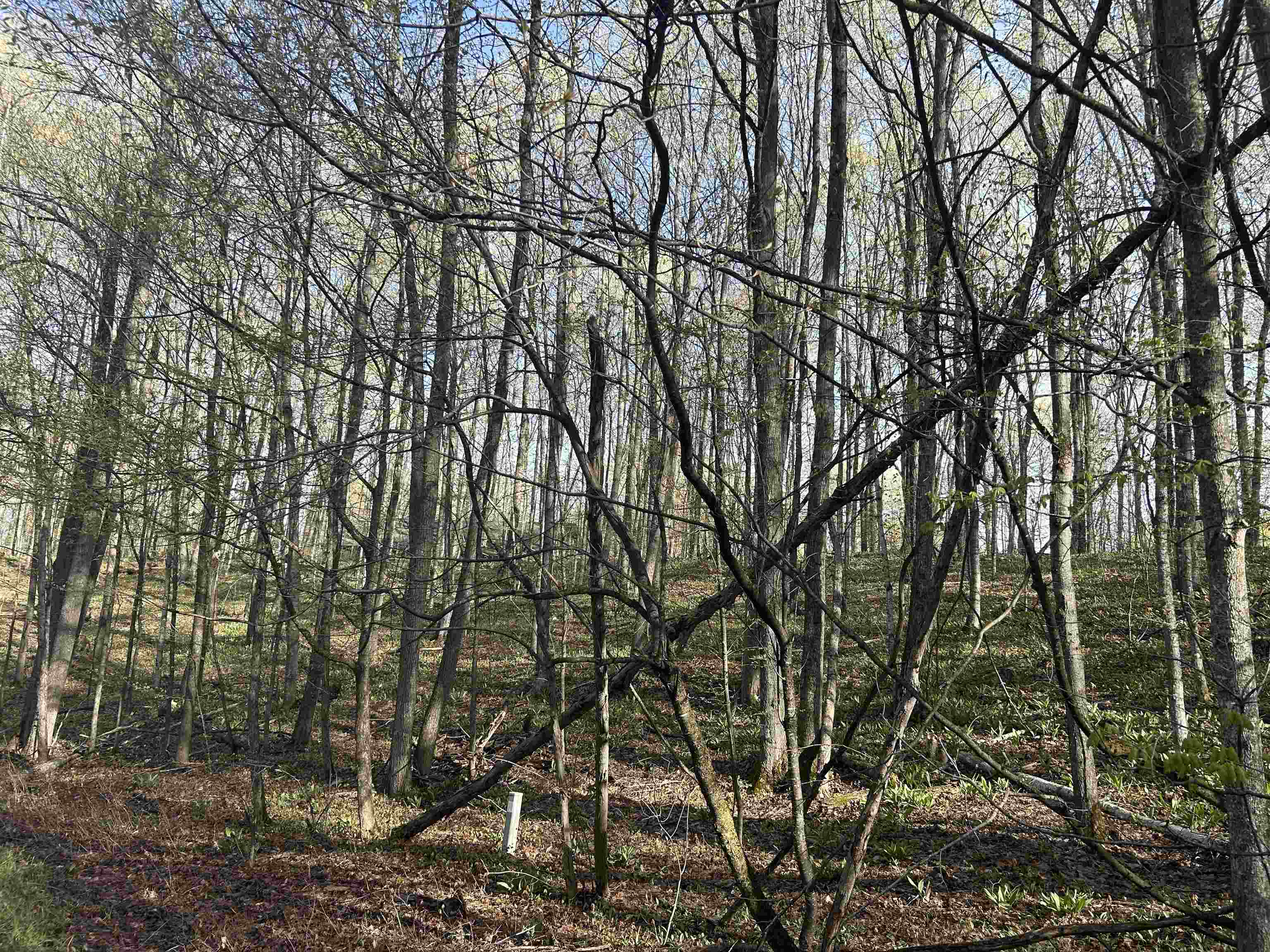 Lot 218 Hawks Eye Drive, Bellaire, MI, 49615