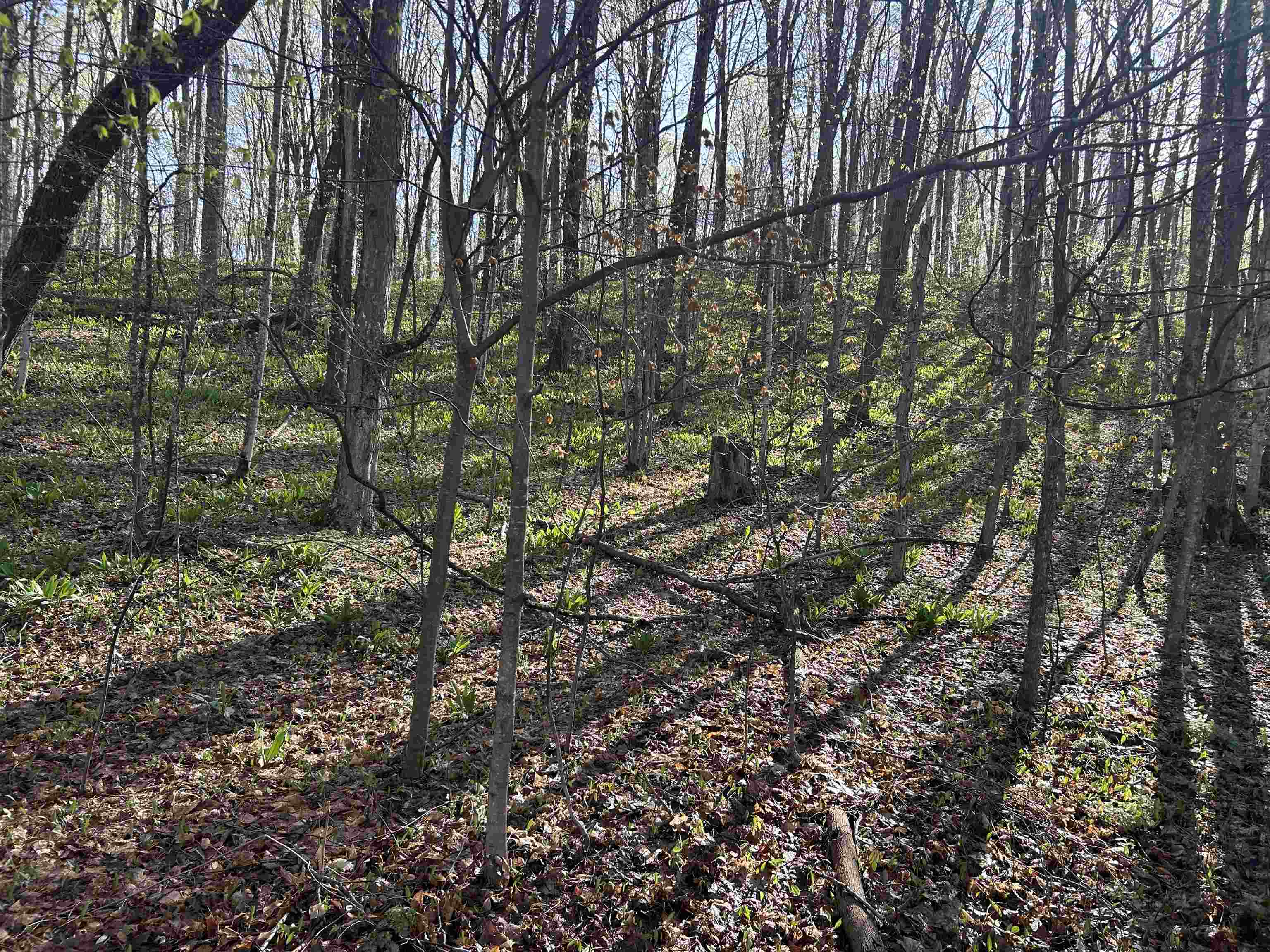 Lot 218 Hawks Eye Drive, Bellaire, MI, 49615