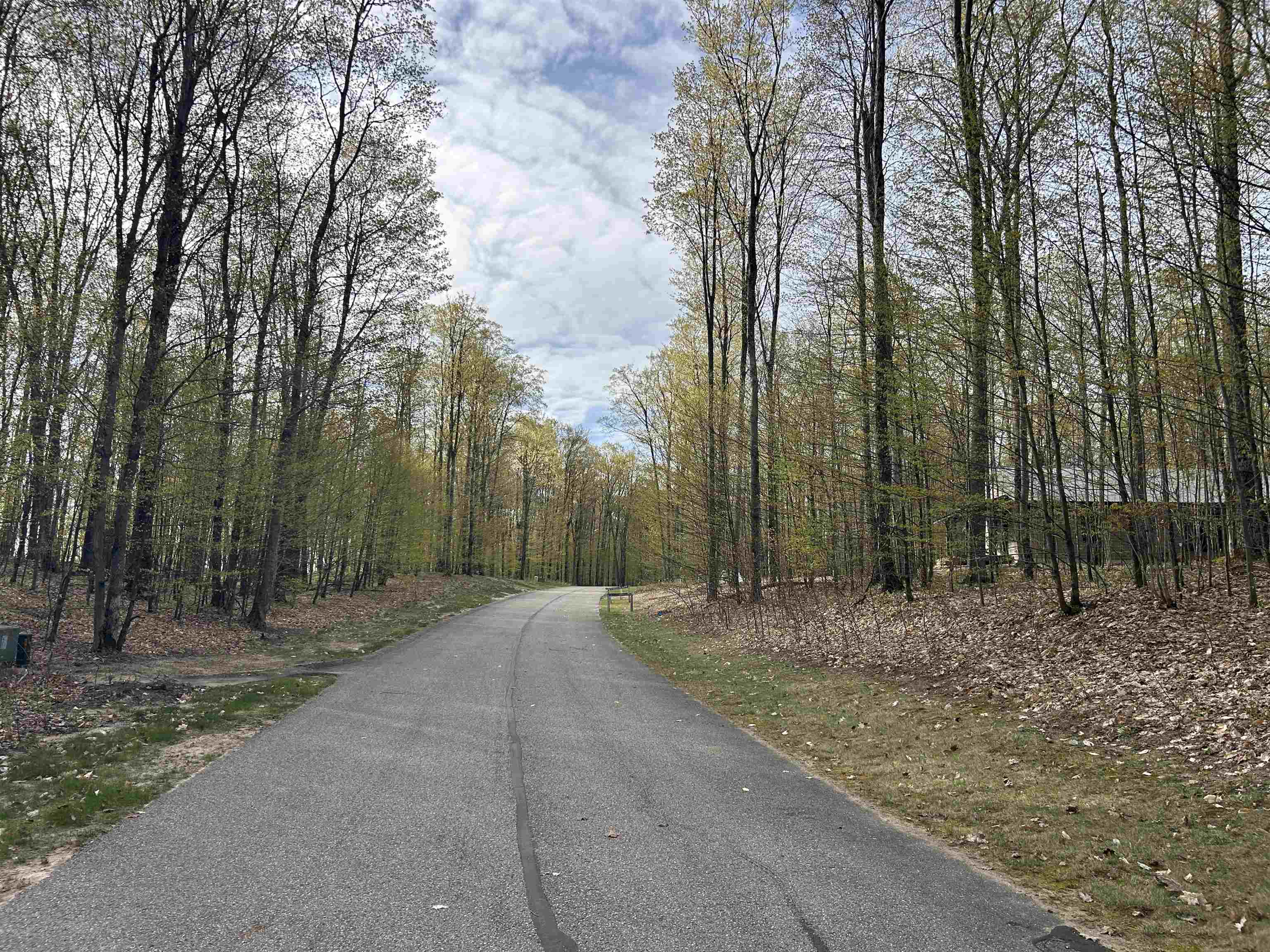 Lot 218 Hawks Eye Drive, Bellaire, MI, 49615
