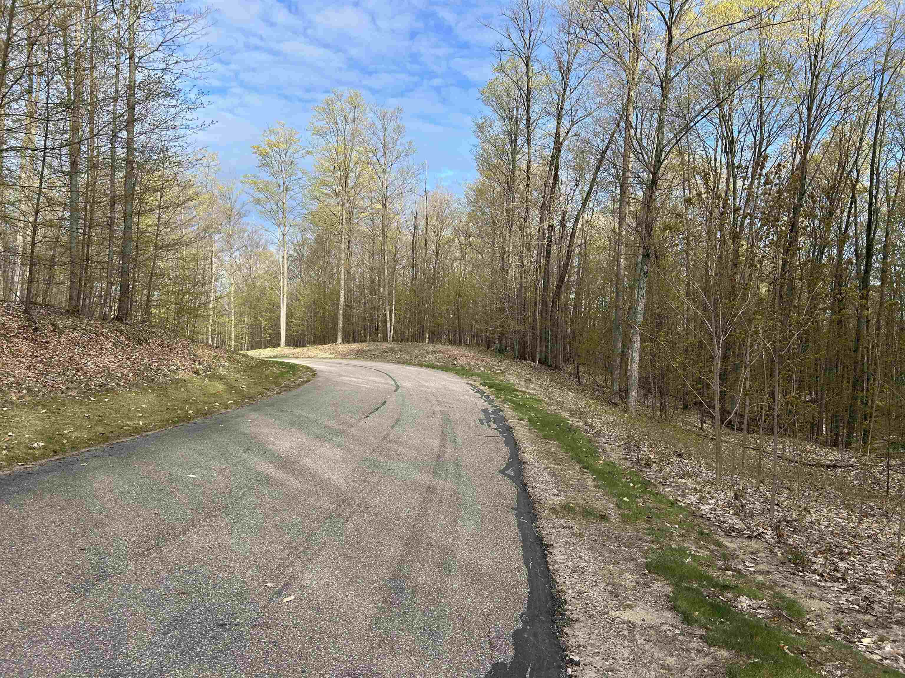 Lot 218 Hawks Eye Drive, Bellaire, MI, 49615