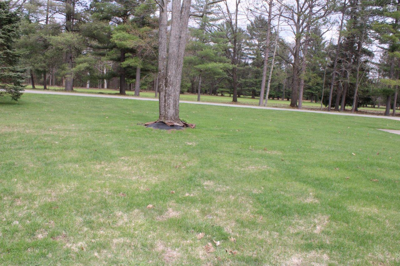 1811 NE Twin Birch Road UNIT&nbsp;Lot: D, Kalkaska, MI, 49646-9724