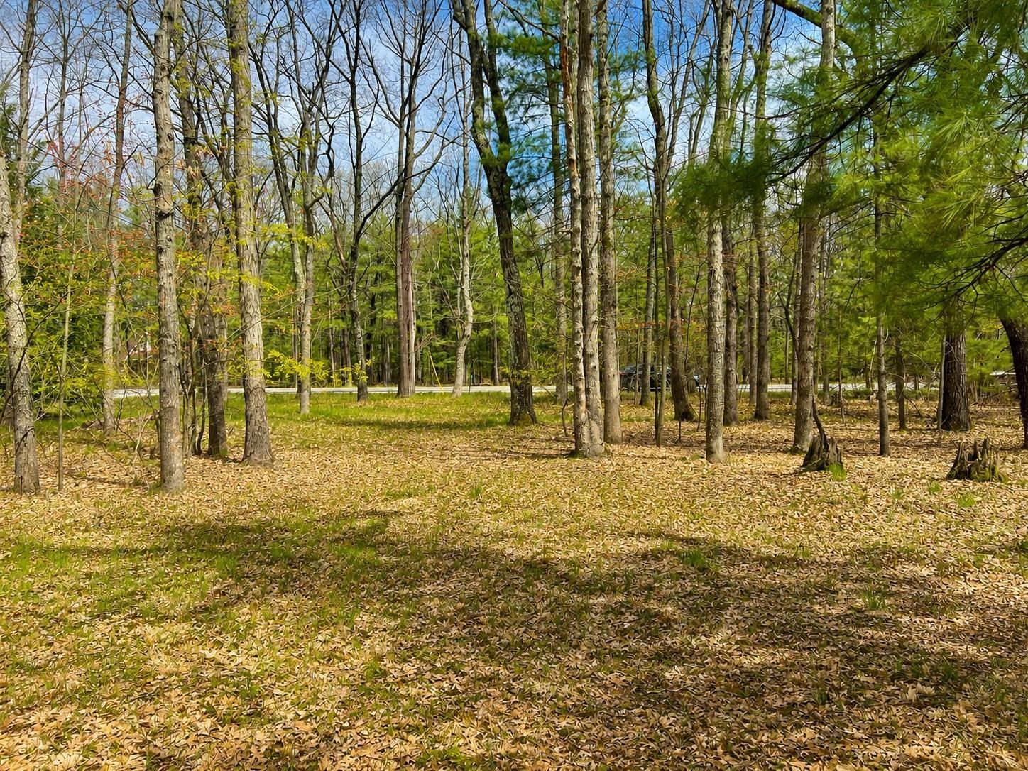 2nd image of 5302 Karlin Rd, Interlochen, MI 49643 | MLS# 80067992