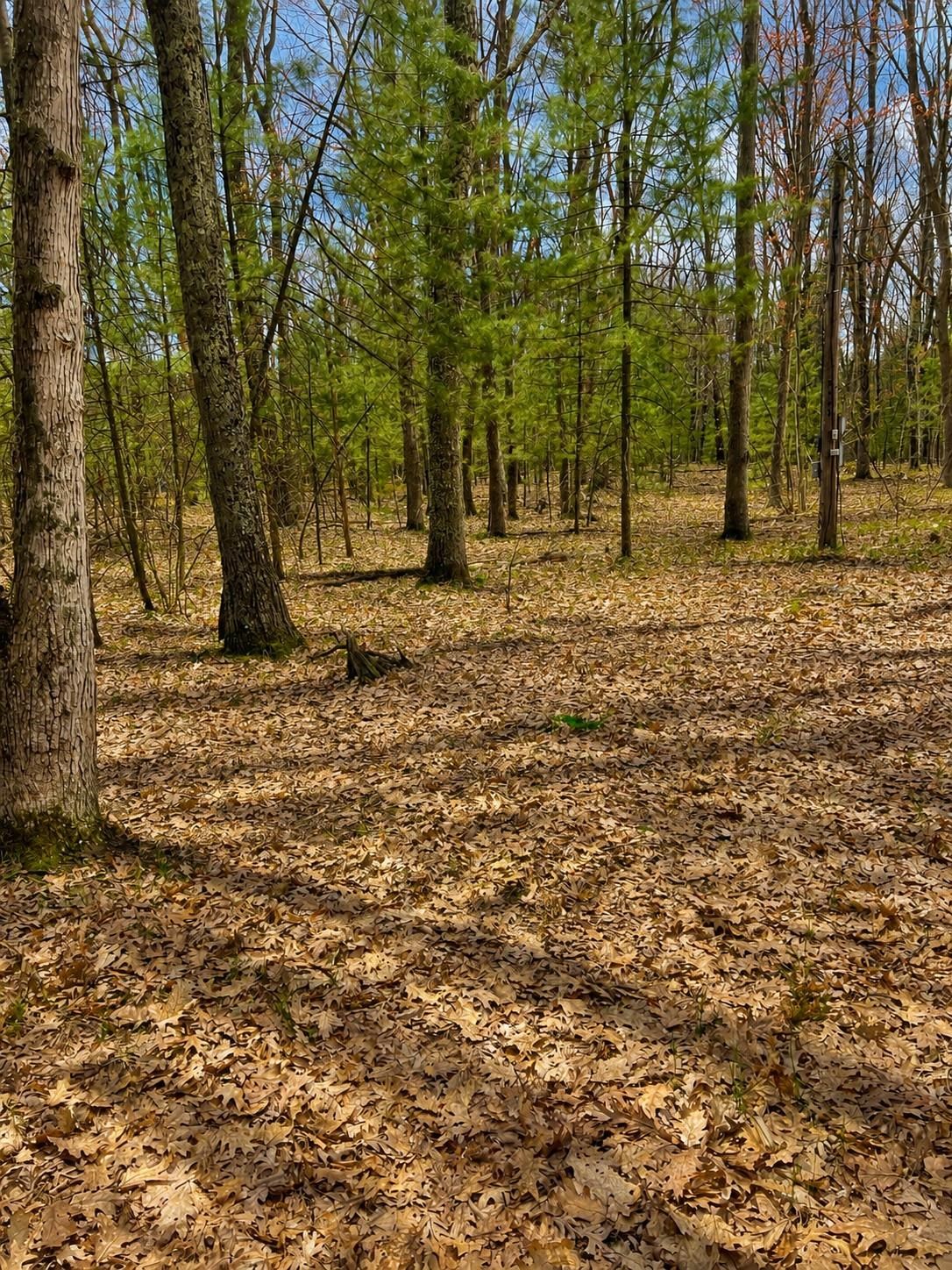 5th image of 5302 Karlin Rd, Interlochen, MI 49643 | MLS# 80067992