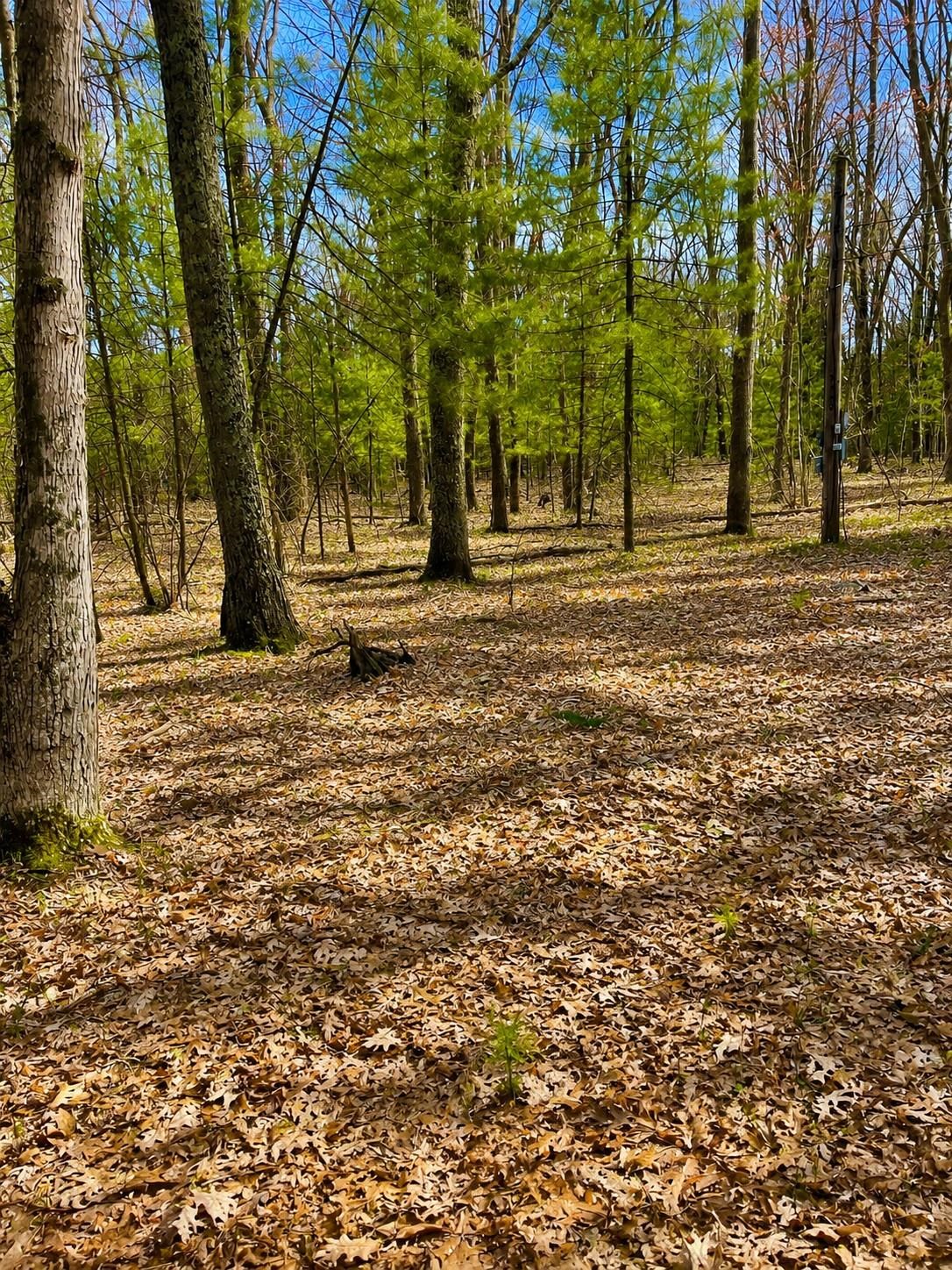 6th image of 5302 Karlin Rd, Interlochen, MI 49643 | MLS# 80067992