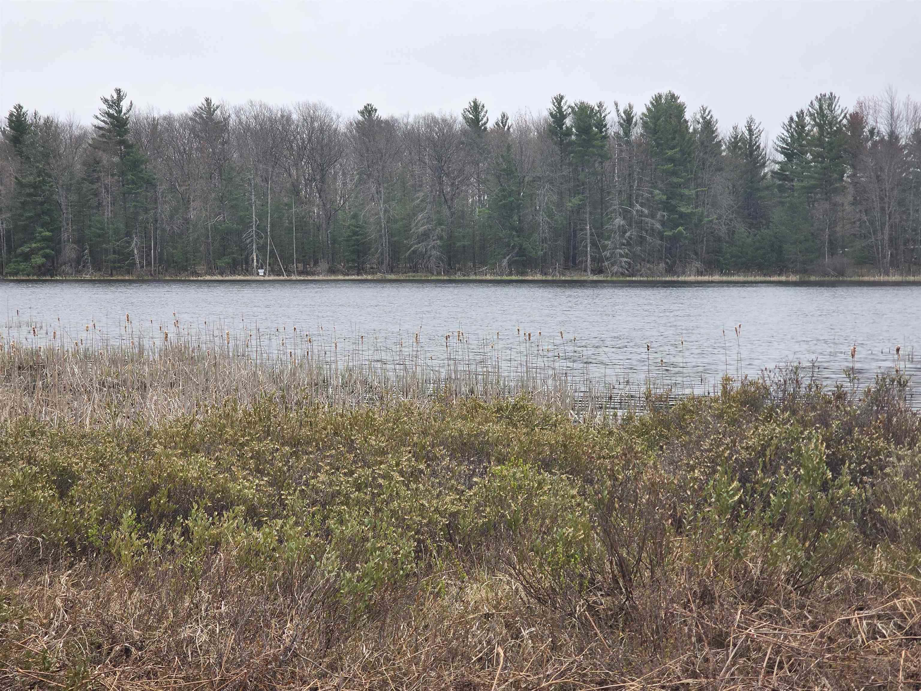 56 Blue Heron Drive, Kalkaska, MI, 49646