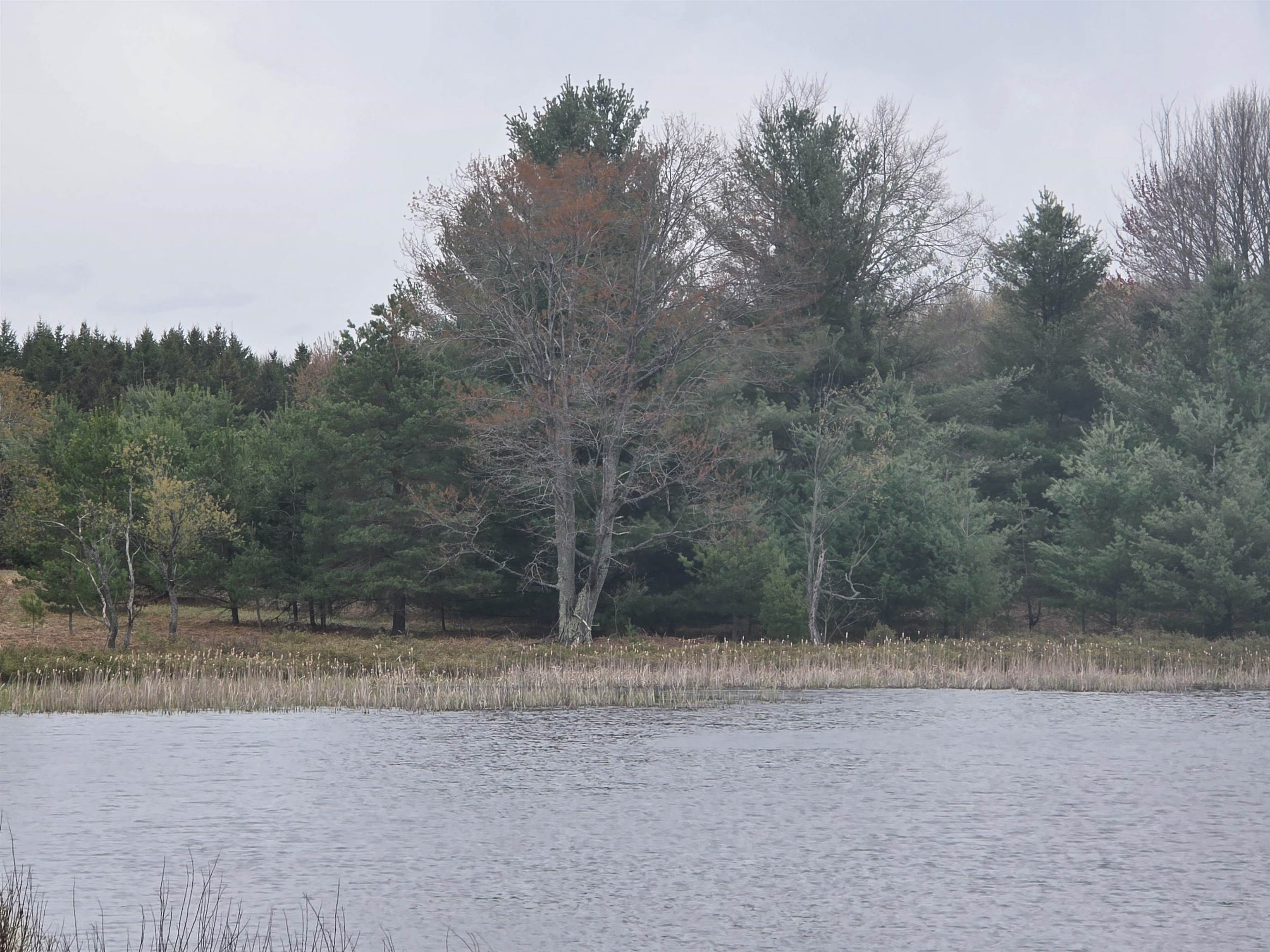56 Blue Heron Drive, Kalkaska, MI, 49646