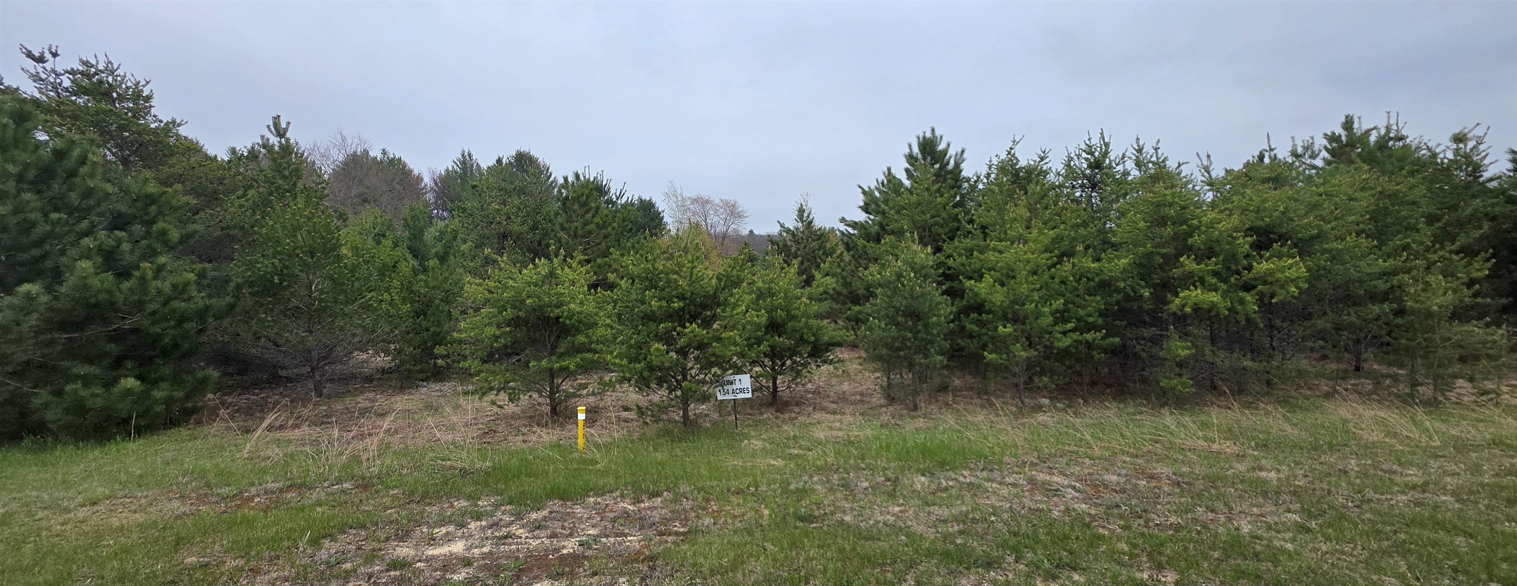 56 Blue Heron Drive, Kalkaska, MI, 49646
