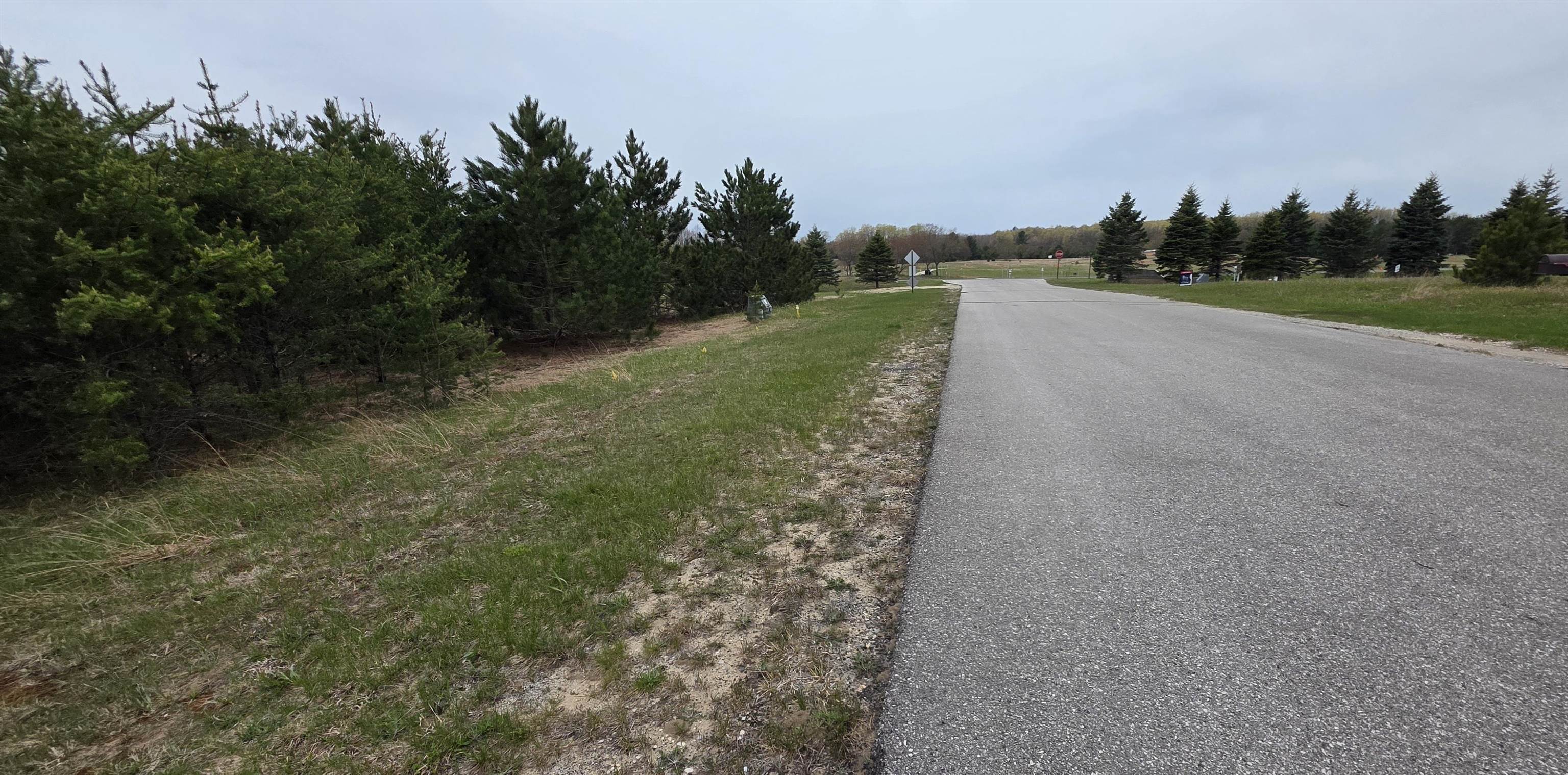 56 Blue Heron Drive, Kalkaska, MI, 49646
