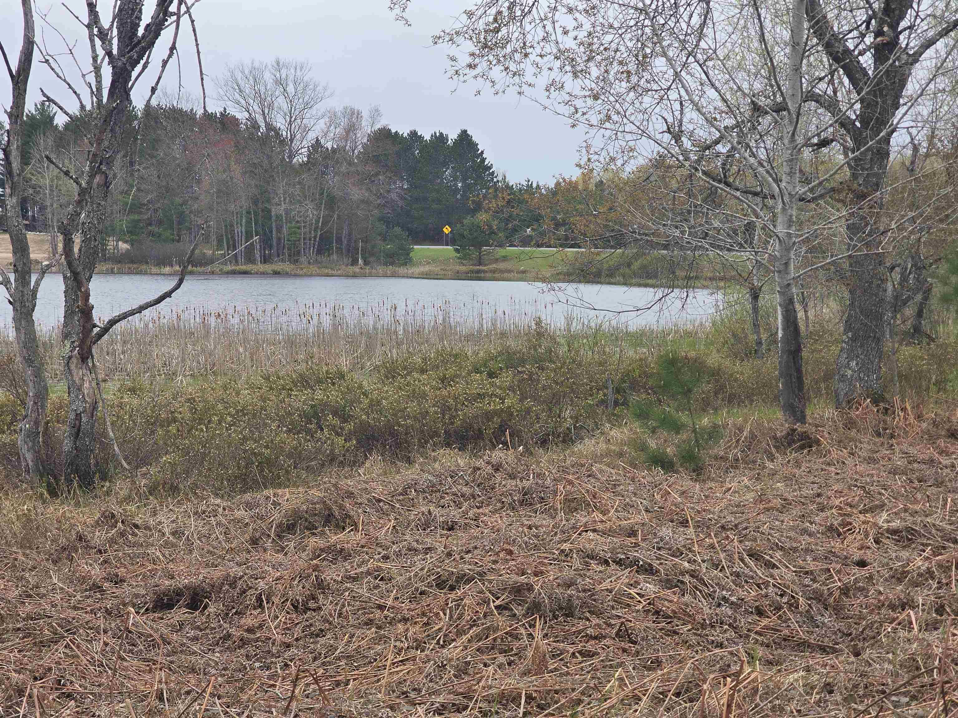 56 Blue Heron Drive, Kalkaska, MI, 49646