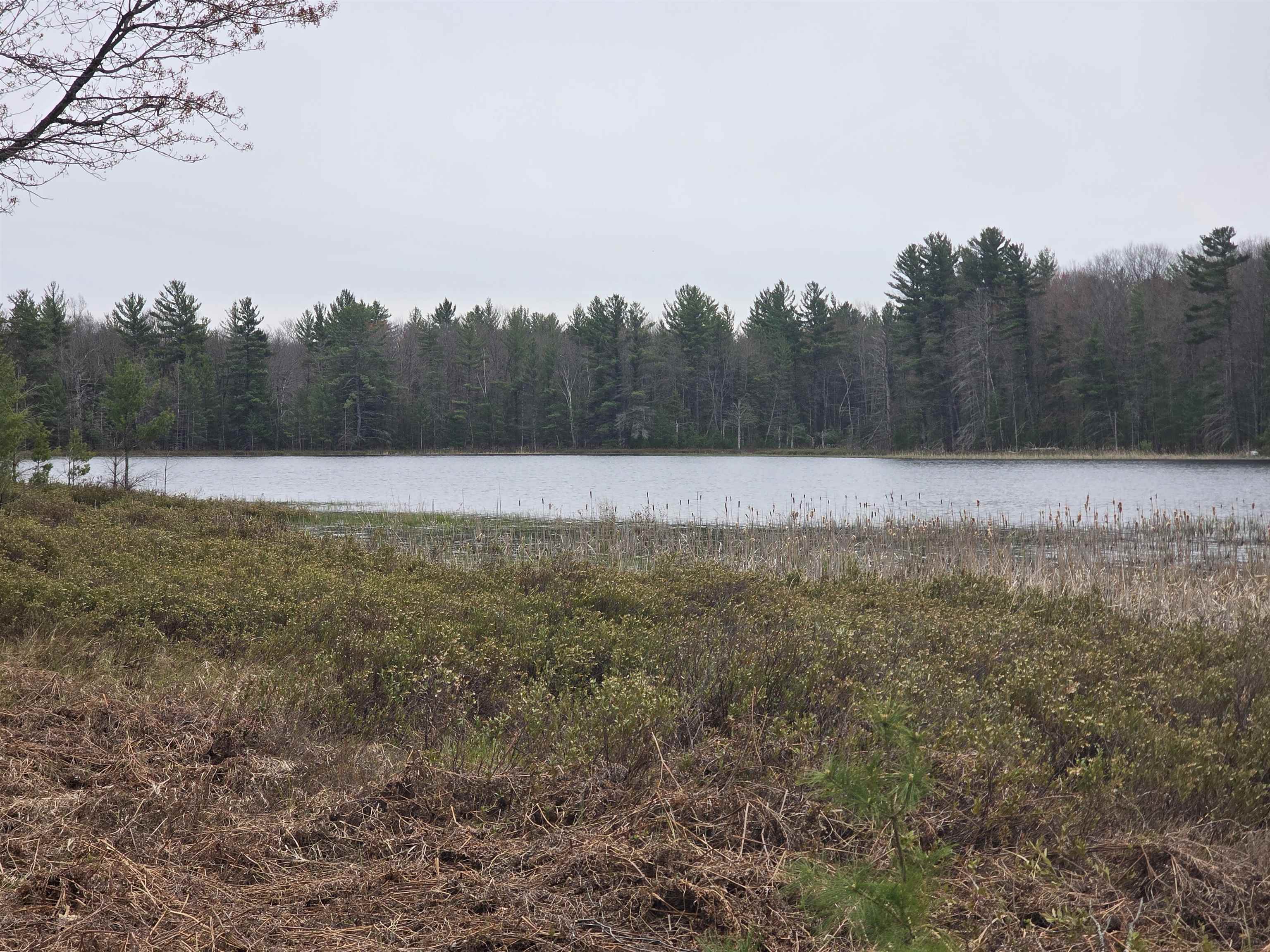 56 Blue Heron Drive, Kalkaska, MI, 49646