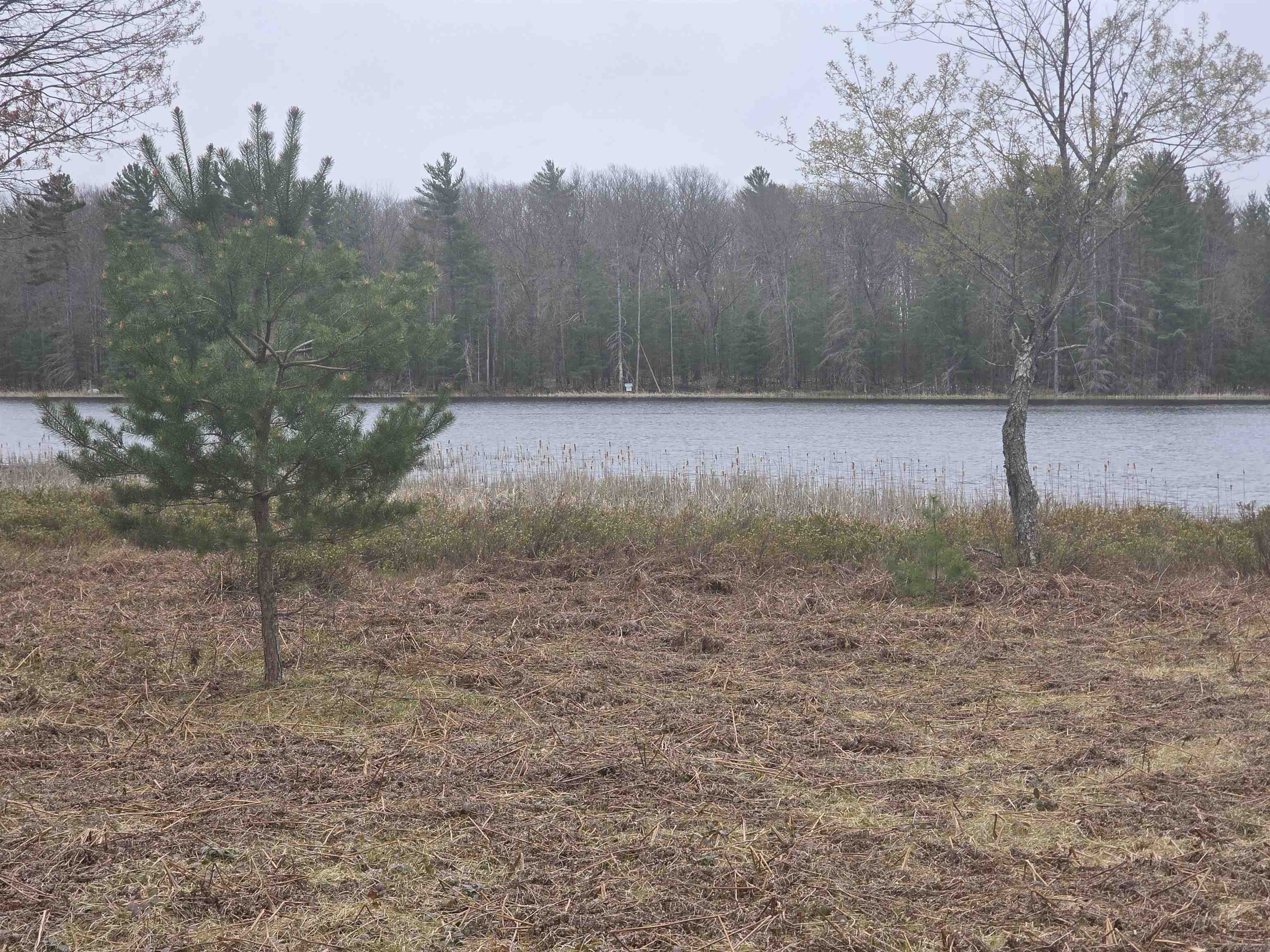 56 Blue Heron Drive, Kalkaska, MI, 49646