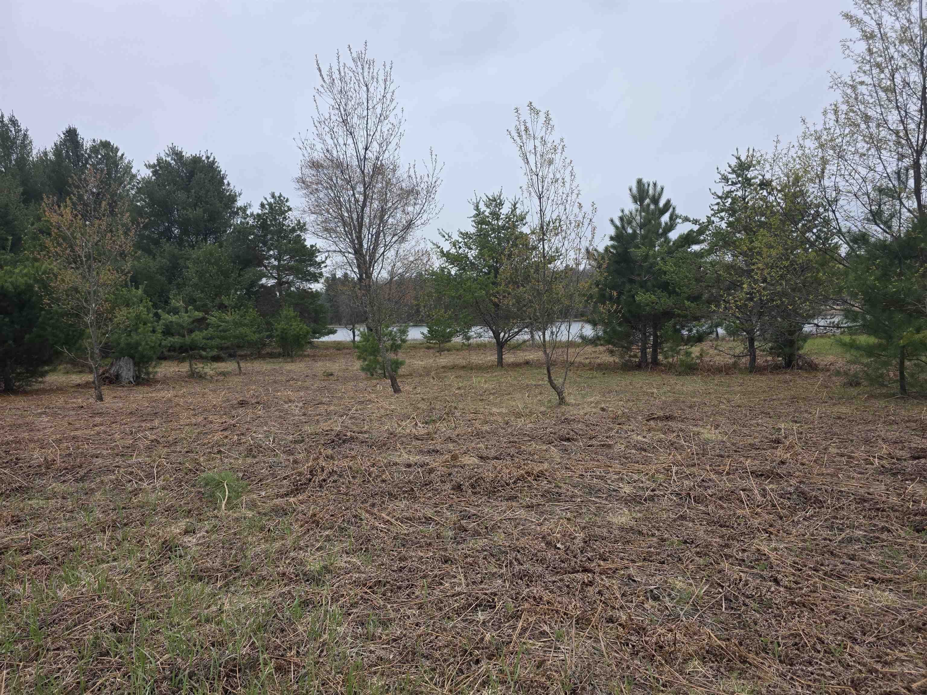 56 Blue Heron Drive, Kalkaska, MI, 49646