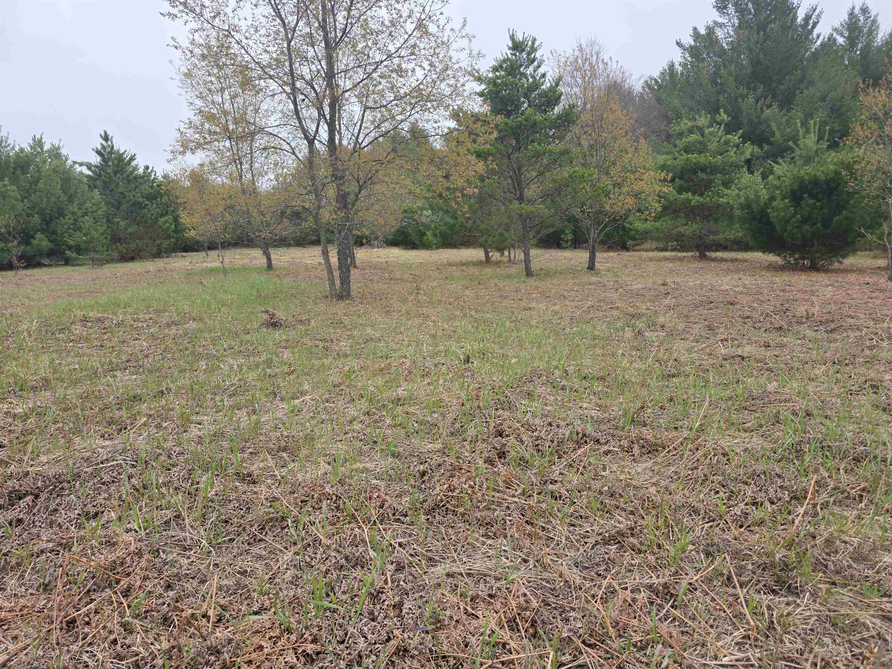 56 Blue Heron Drive, Kalkaska, MI, 49646