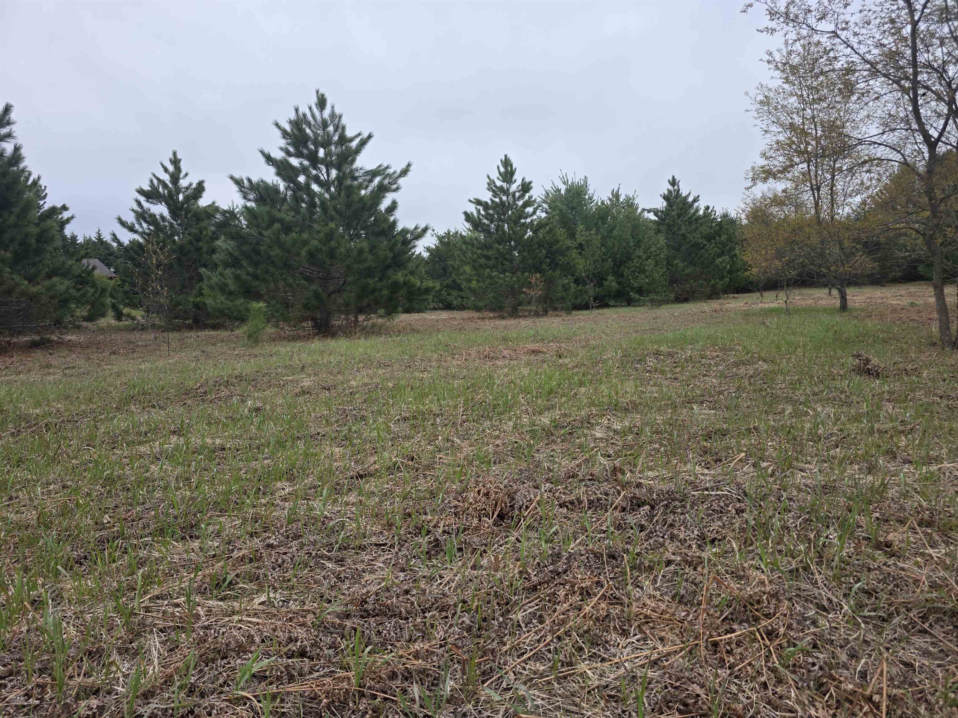 56 Blue Heron Drive, Kalkaska, MI, 49646