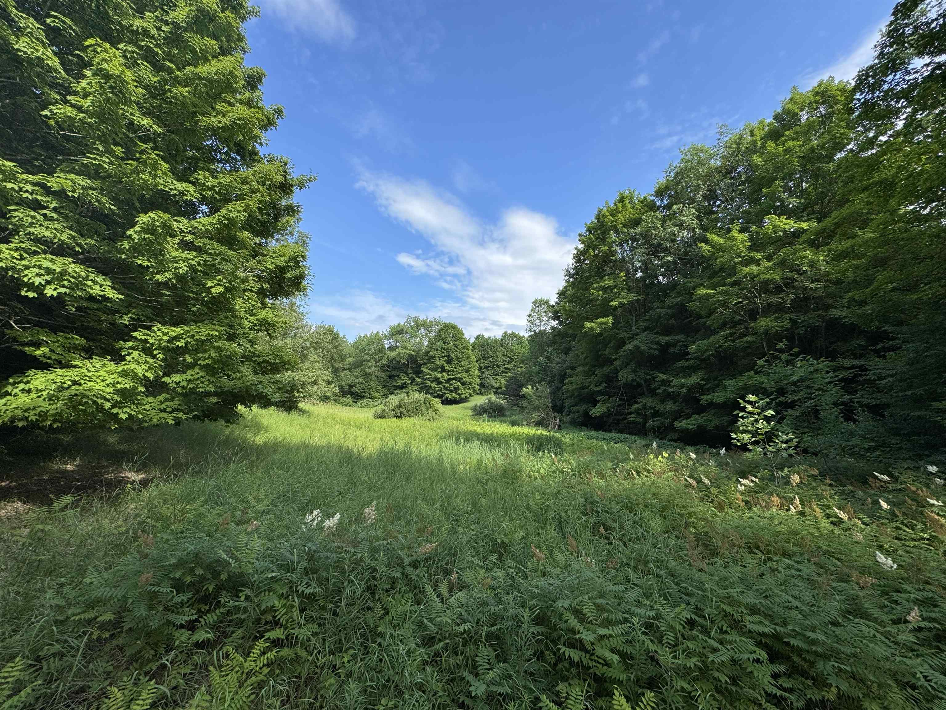 19th image of 00 W Beeman Rd, Empire, MI 49630 | MLS# 80068023