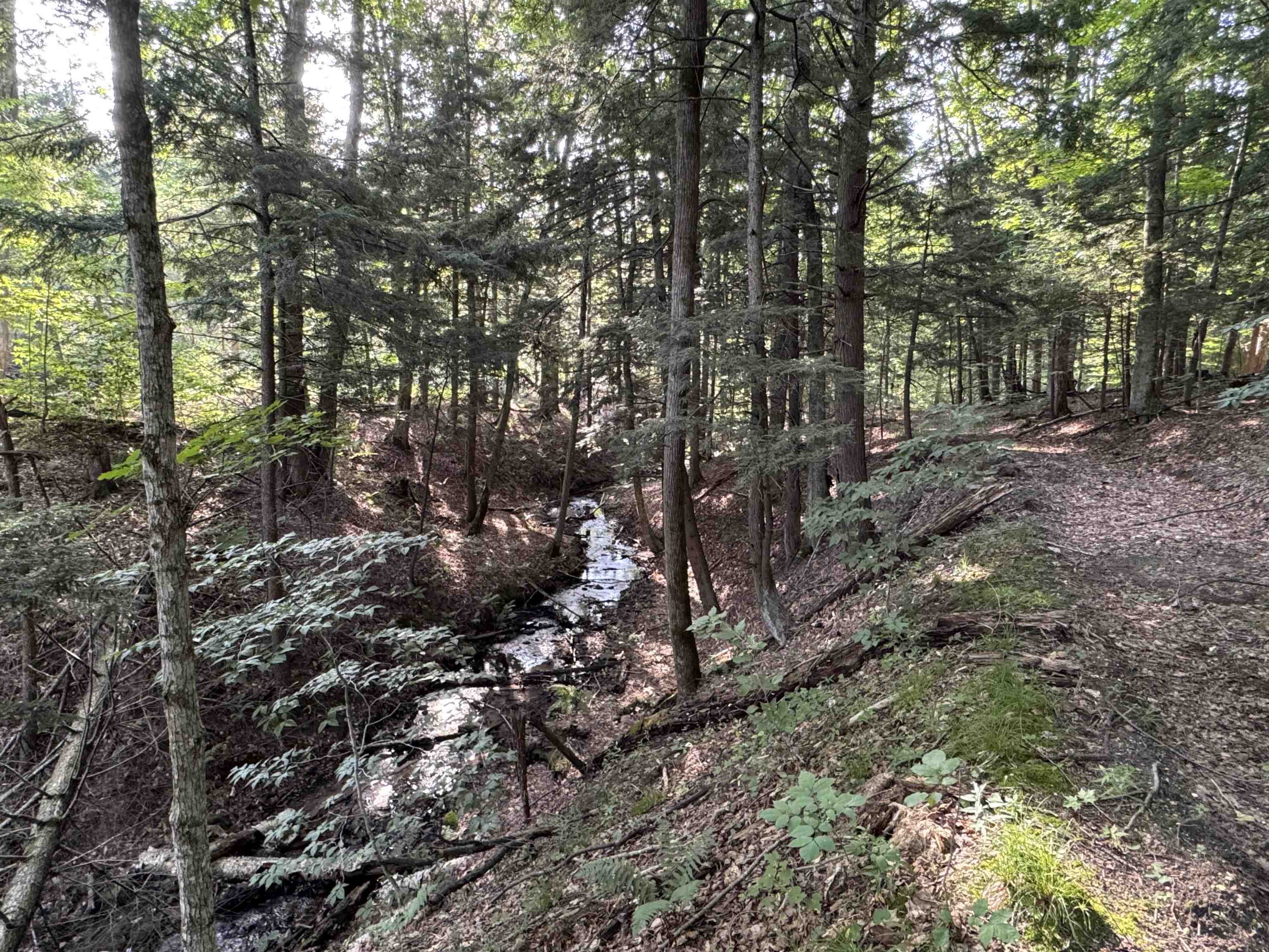 3rd image of 00 W Beeman Rd, Empire, MI 49630 | MLS# 80068023
