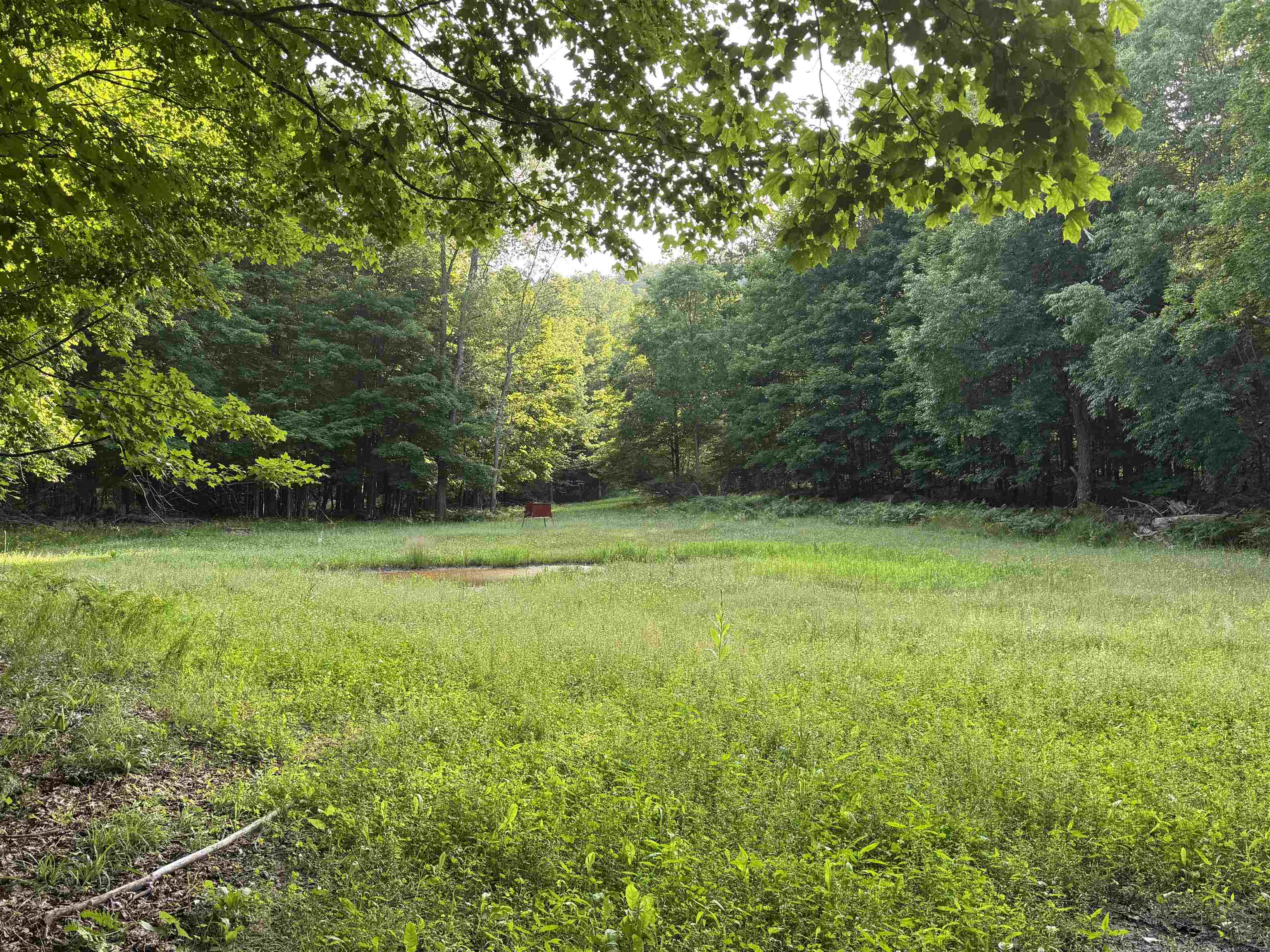 4th image of 00 W Beeman Rd, Empire, MI 49630 | MLS# 80068023
