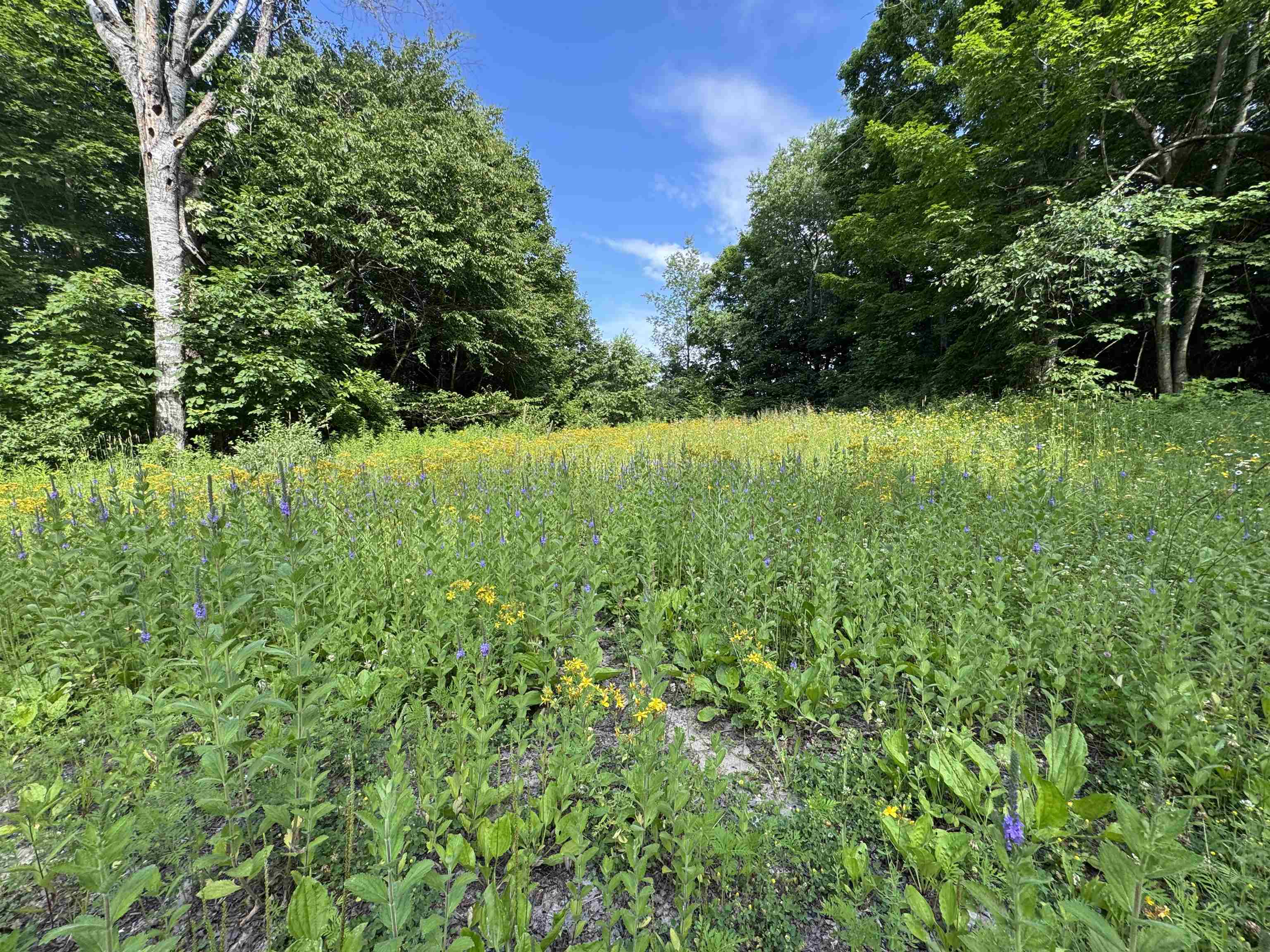 5th image of 00 W Beeman Rd, Empire, MI 49630 | MLS# 80068023