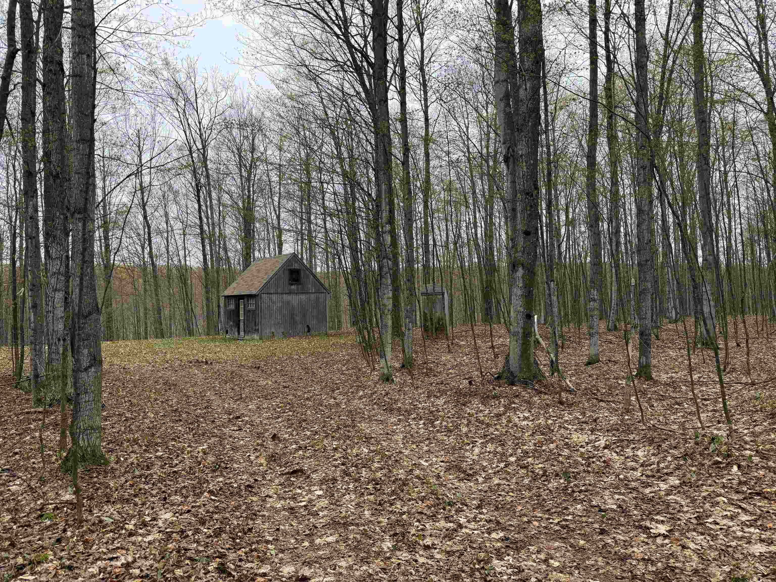 Picture 17