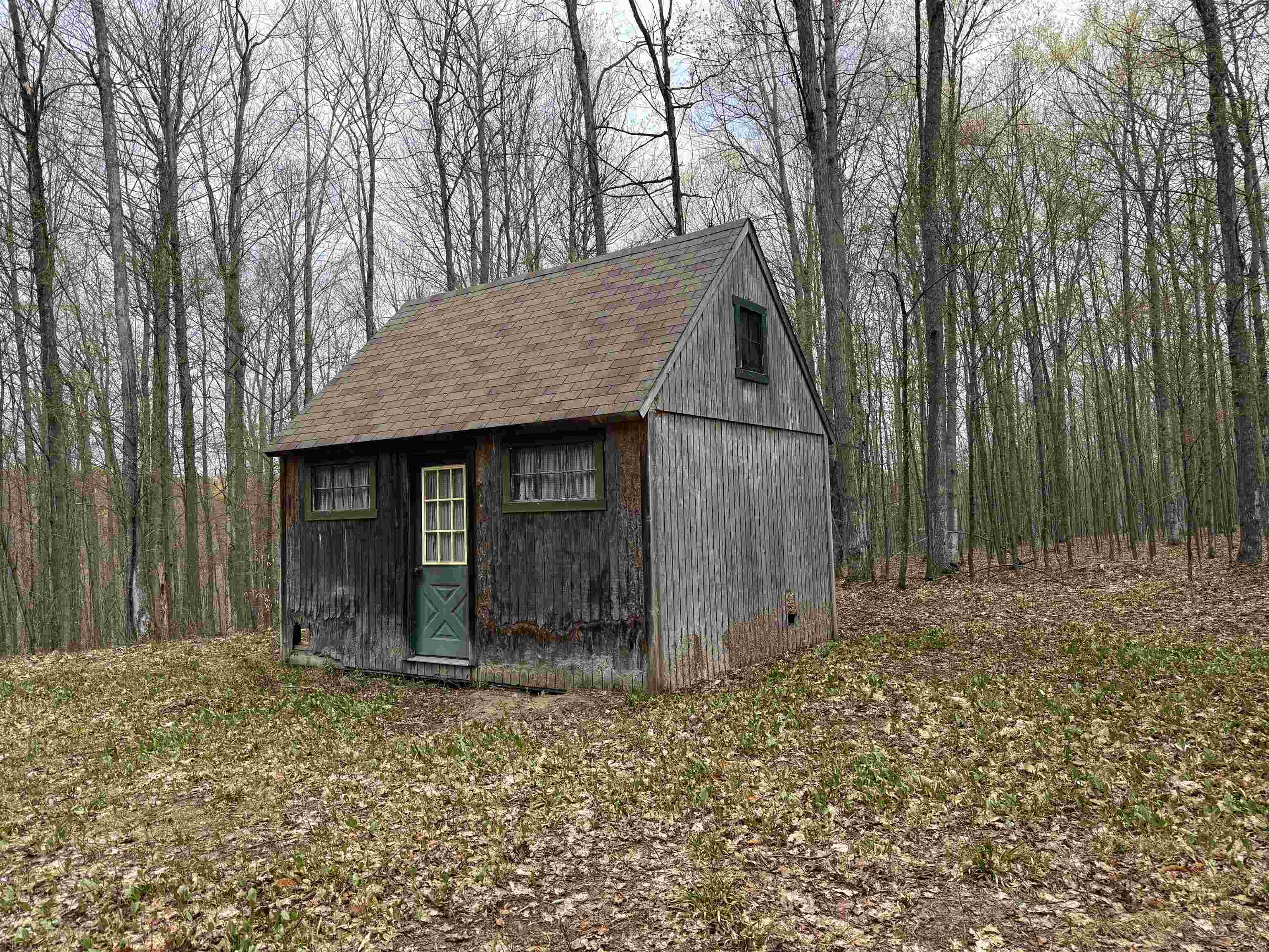 Picture 19