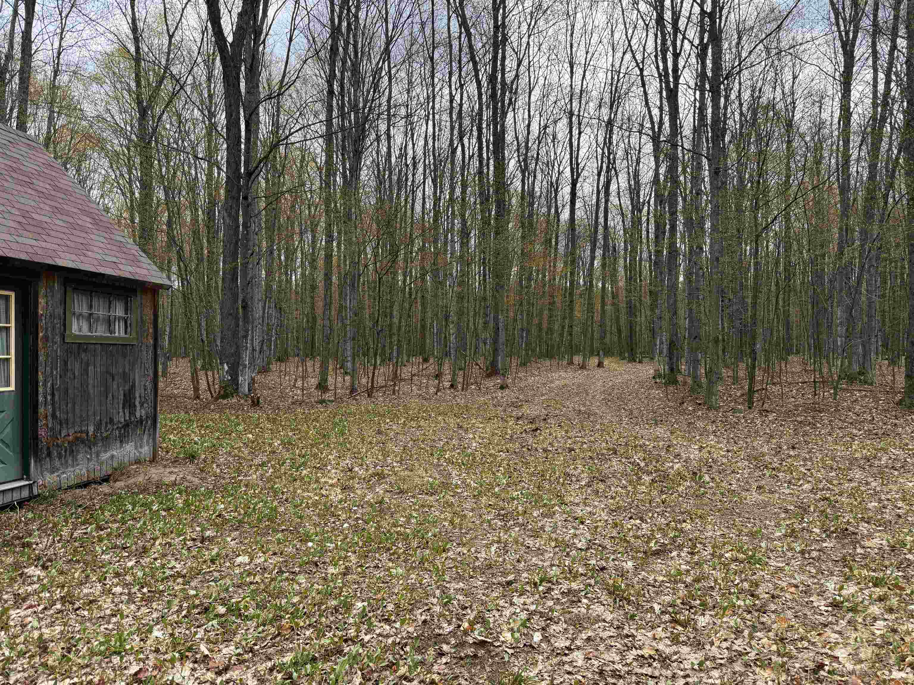 Picture 21