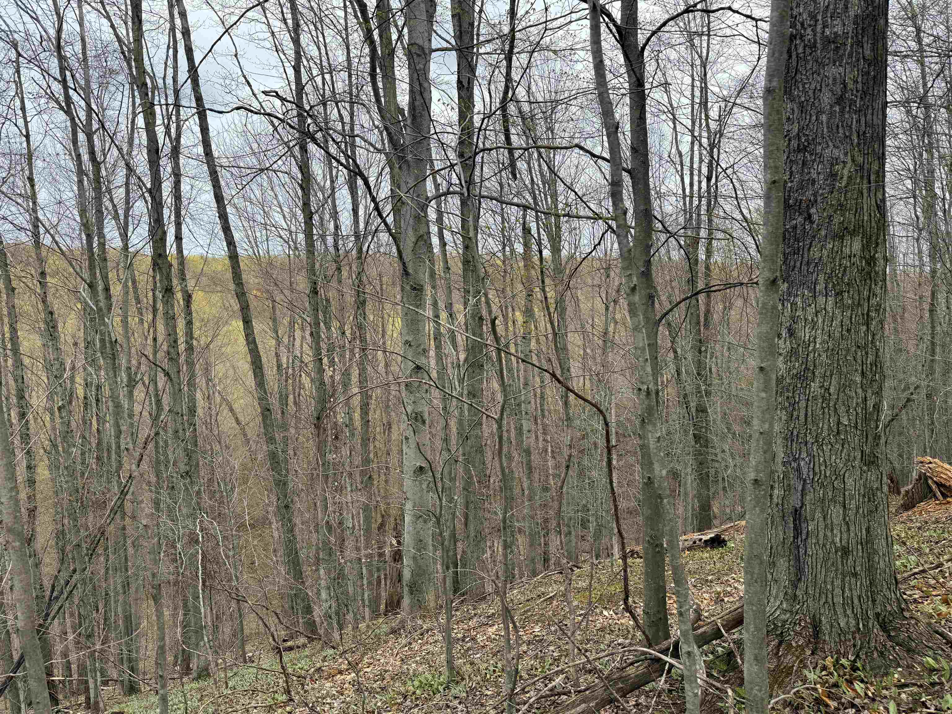 Picture 30
