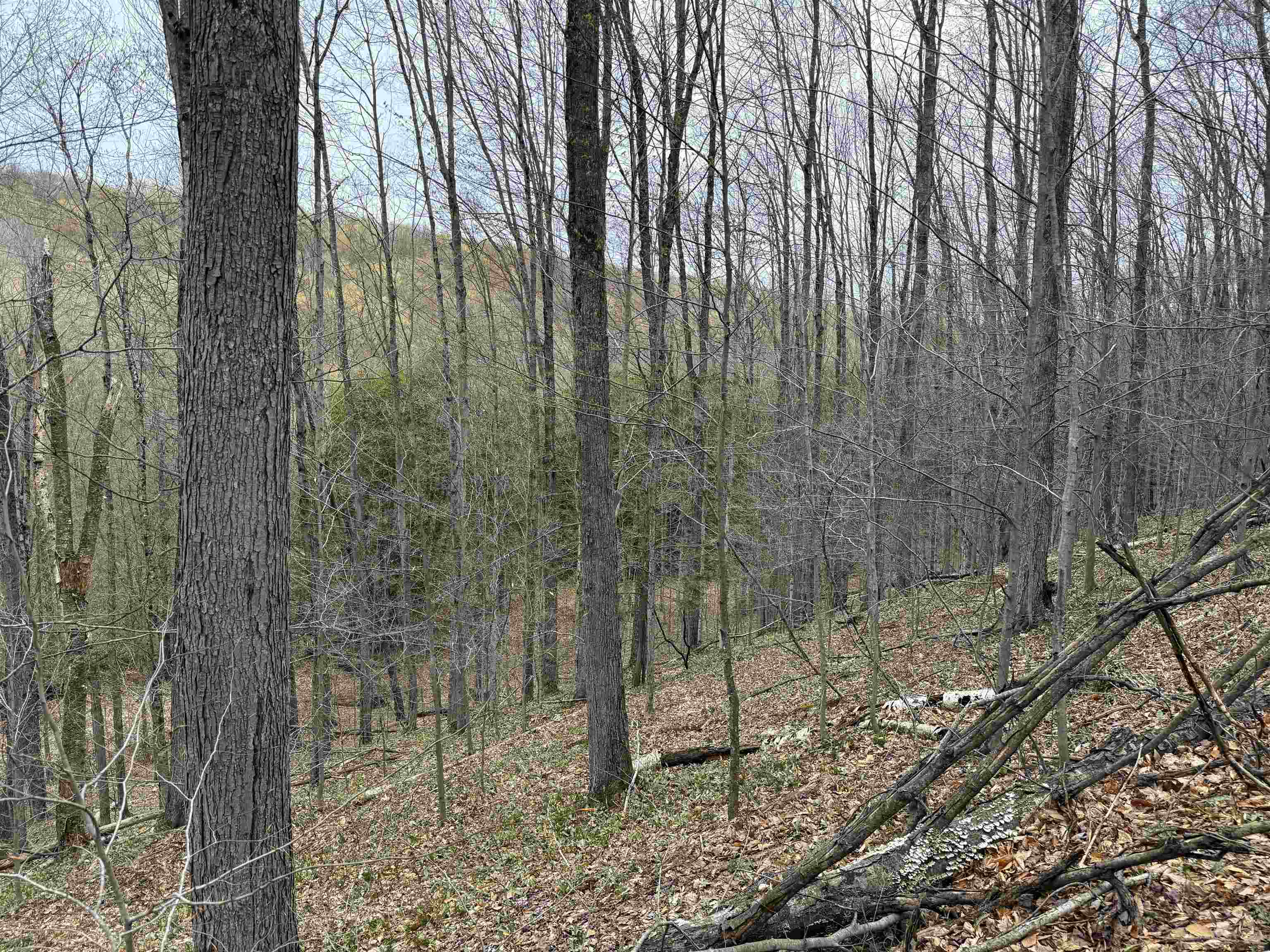 Picture 31