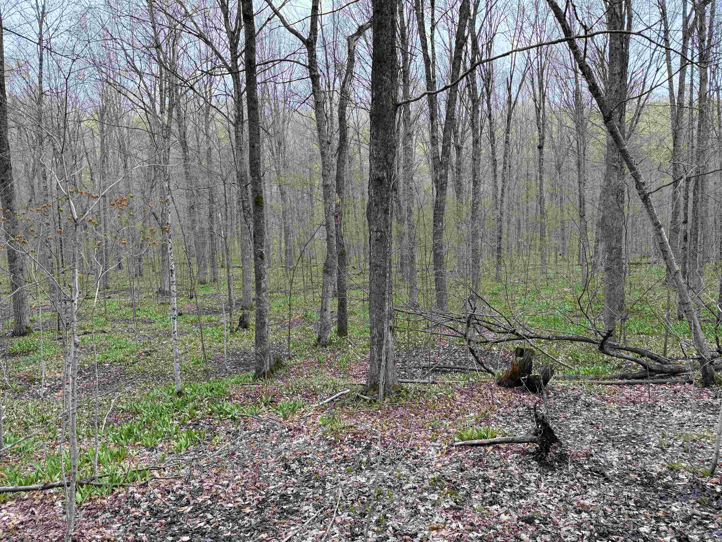 Picture 38