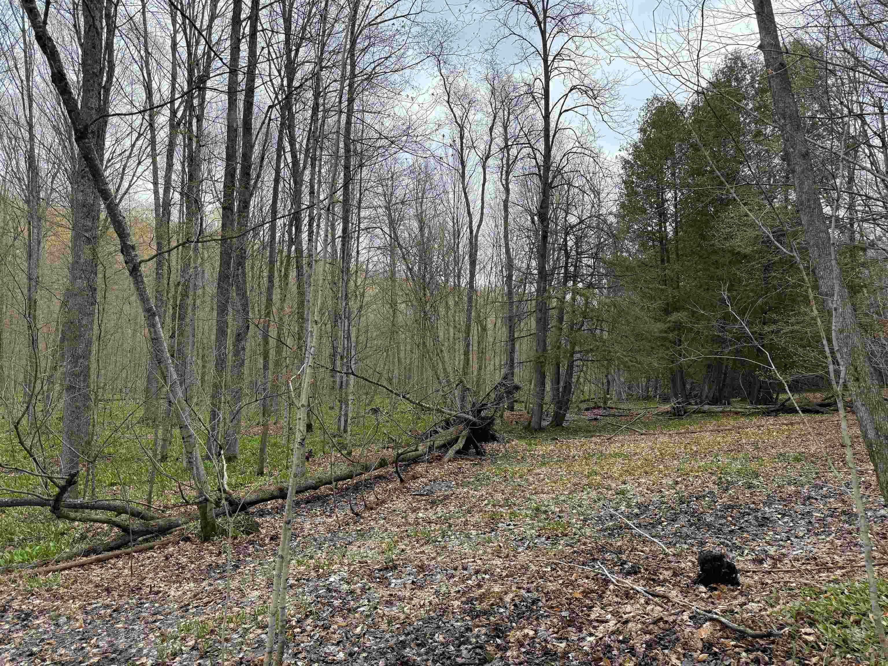 Picture 39