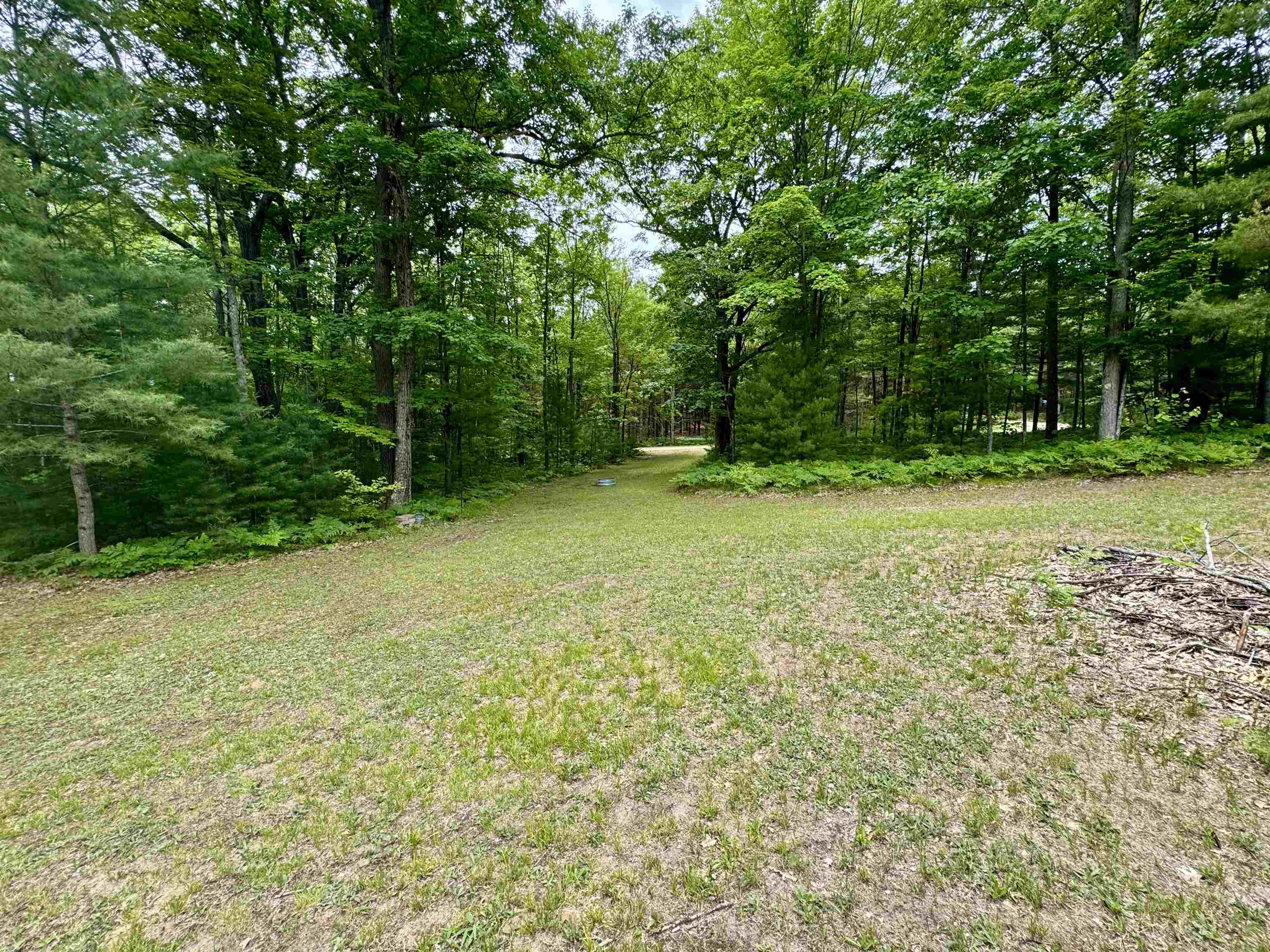 2nd image of 4247 Sw Bald Eagles Vw, Boardman Township Kalkaska, MI 49680 | MLS# 78080068191