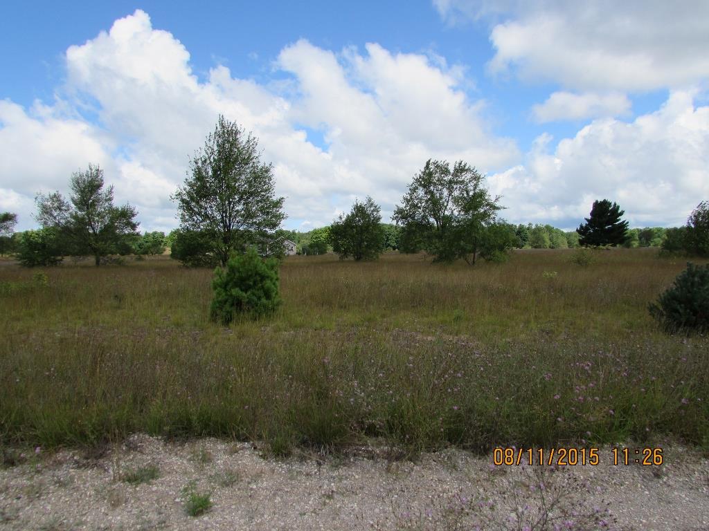 Picture 4