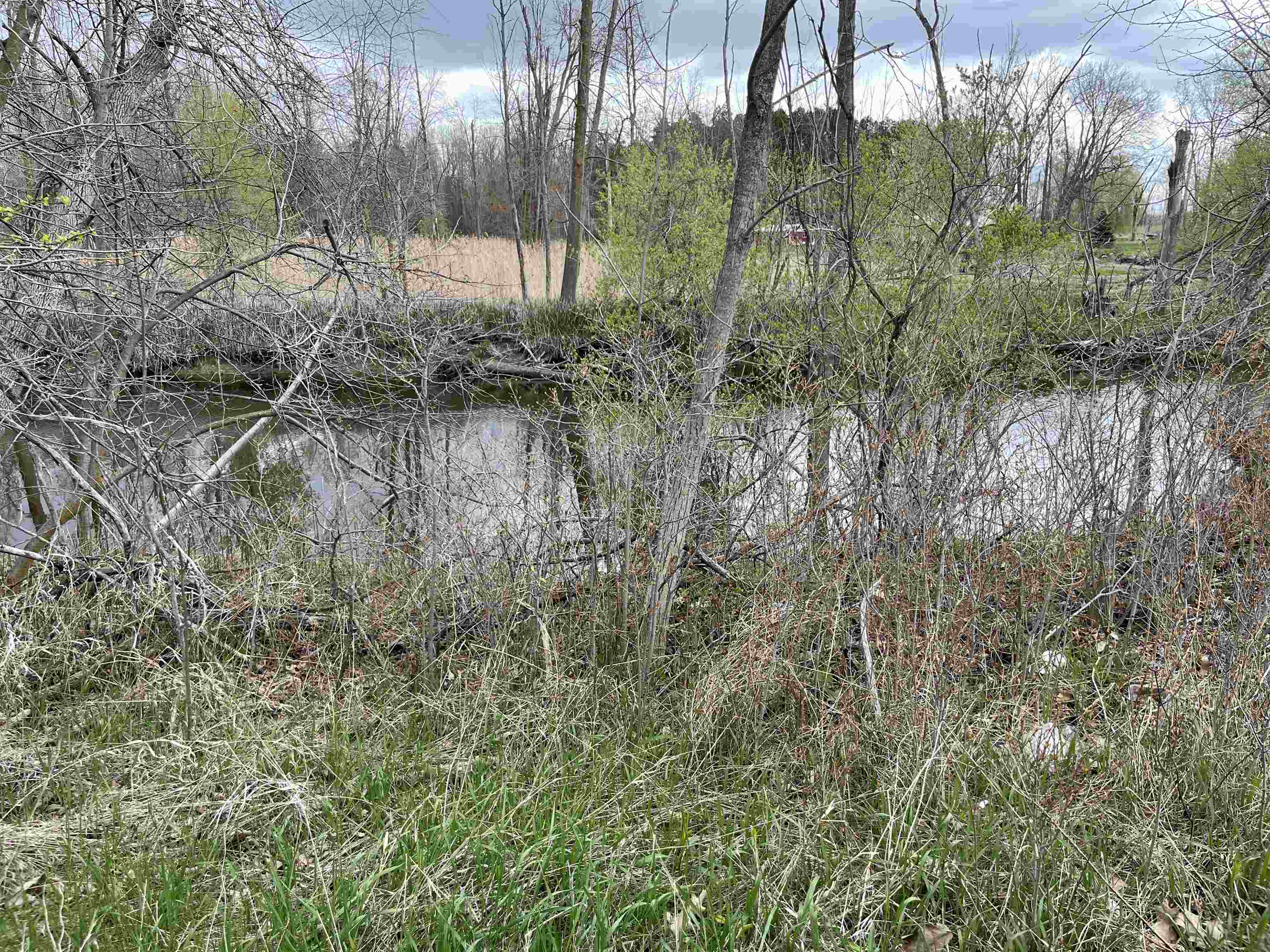 Homes for sale in Standish, MI | Nka Pine River Rd, Standish, MI 48658 | MLS# 80068510