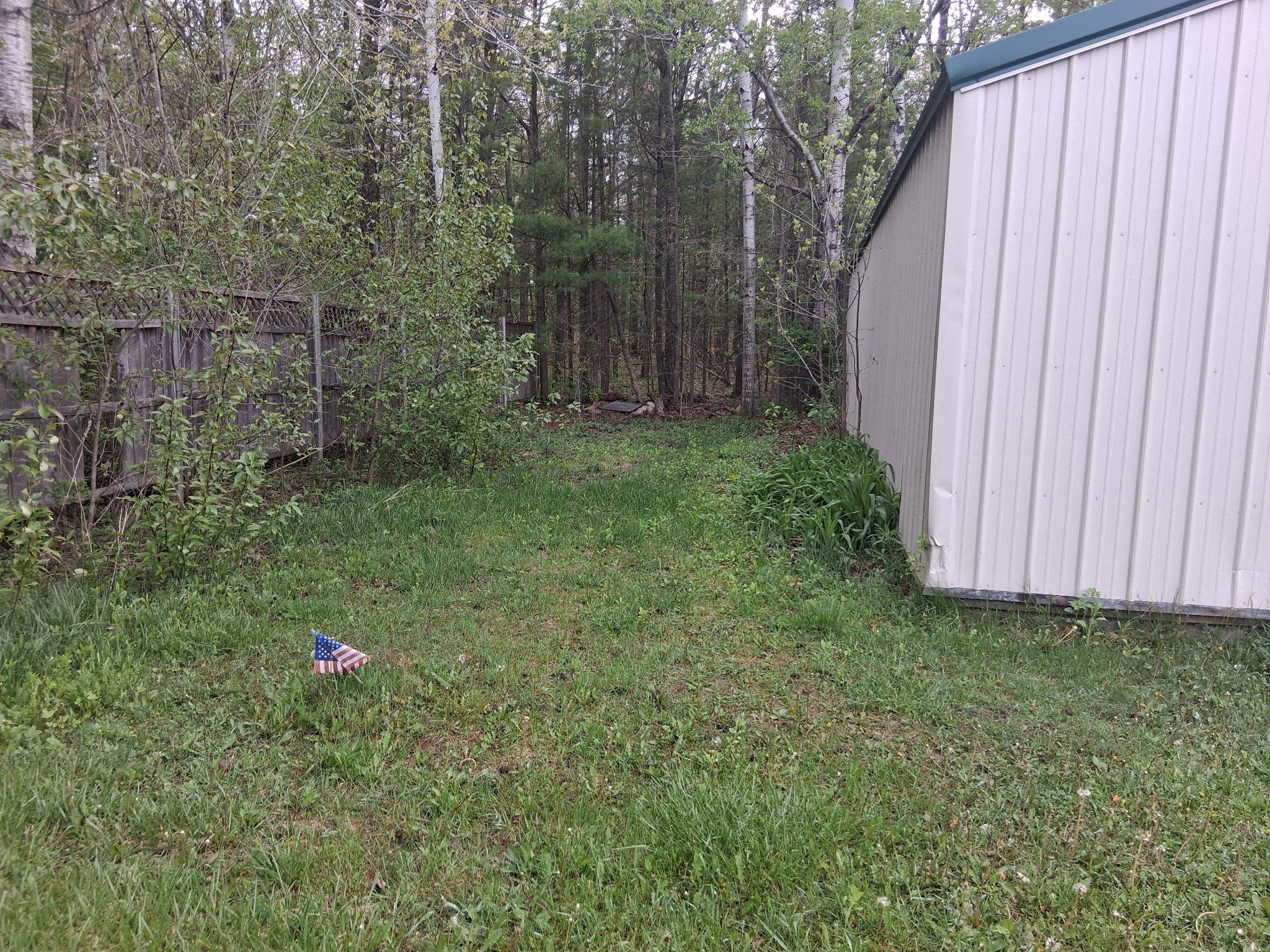 Picture 12