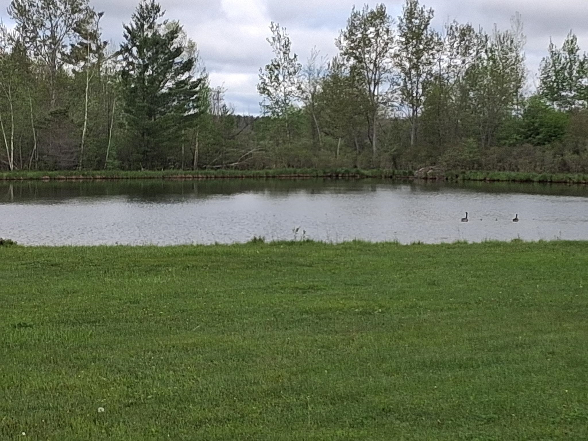 Picture 7