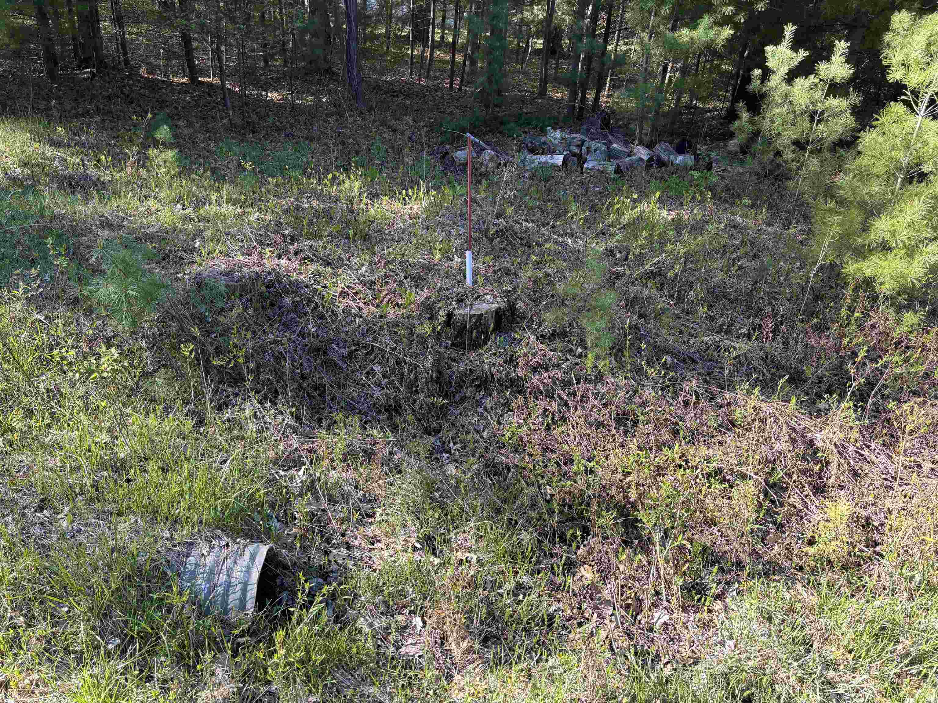 2nd image of 00 Miller Rd, Tawas City, MI 48763 | MLS# 77080068661