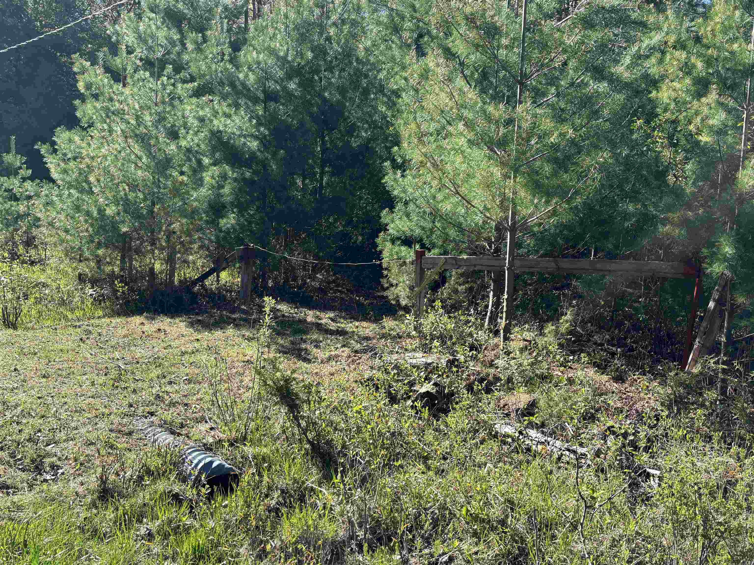 3rd image of 00 Miller Rd, Tawas City, MI 48763 | MLS# 77080068661